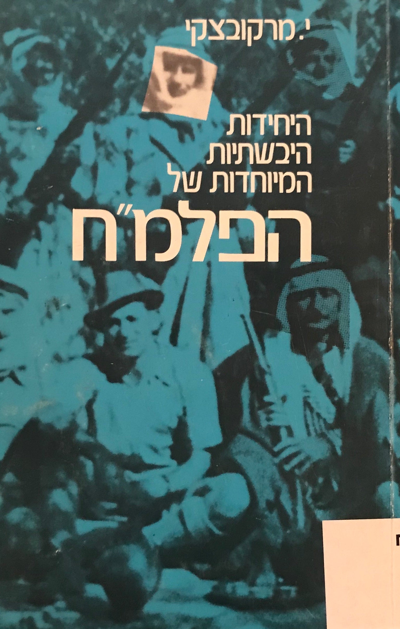 היחידות היבשתיות המיוחדות של הפלמ"ח