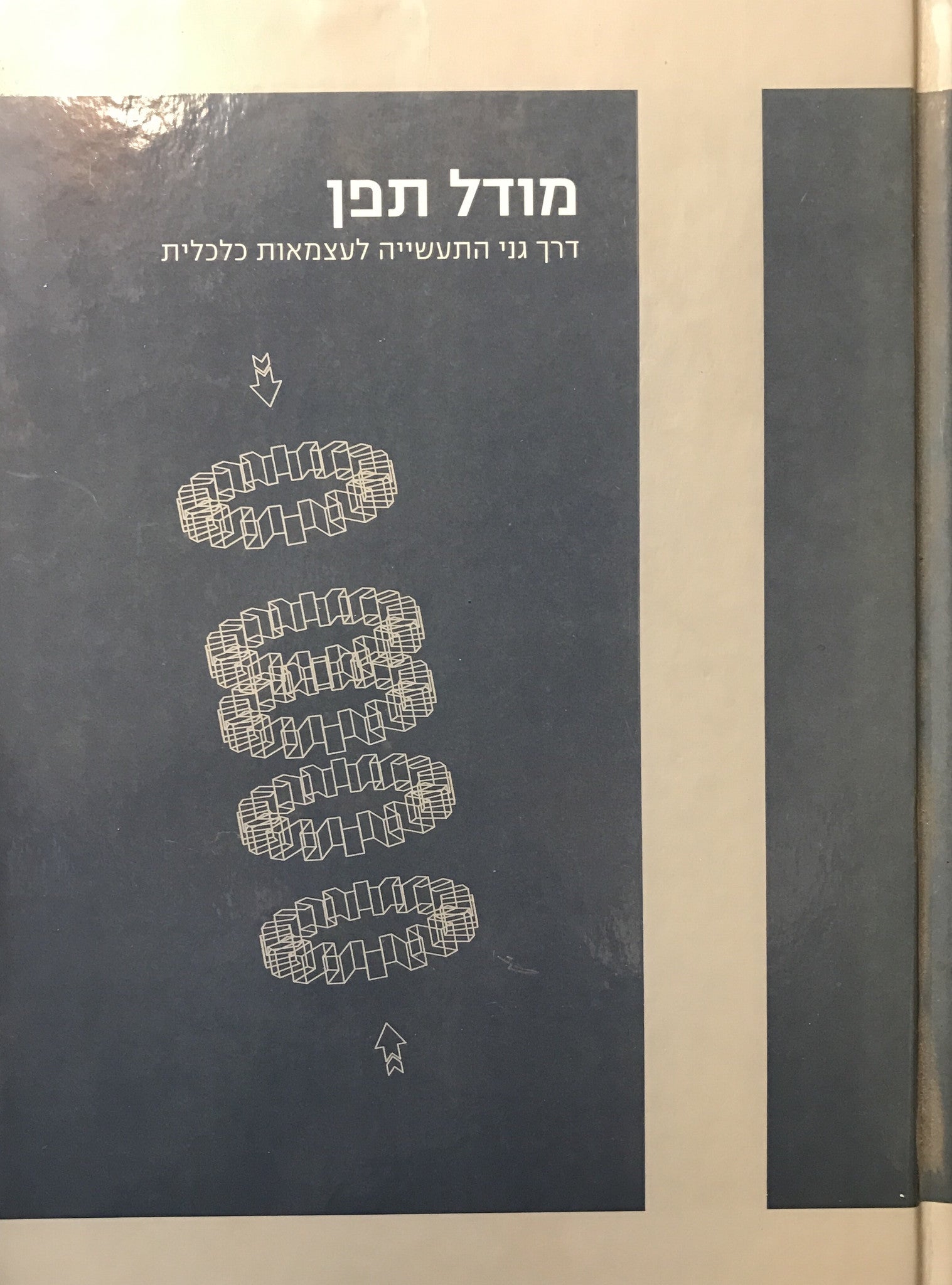 מודל תפן / דרך גני התעשייה לעצמאות כלכלית