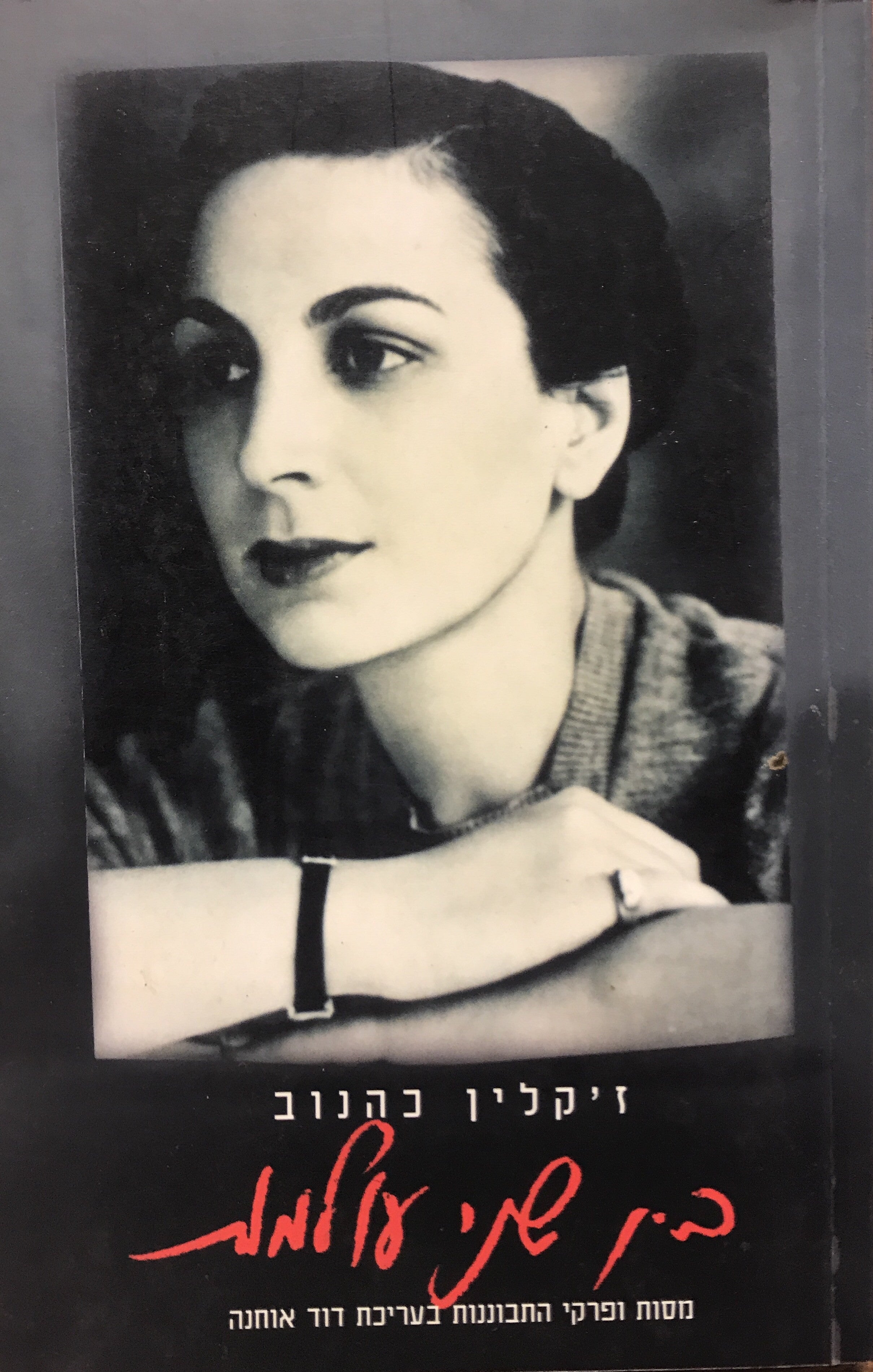 בין שני עולמות / מסות ופרקי התבוננות בעריכת דוד אוחנה