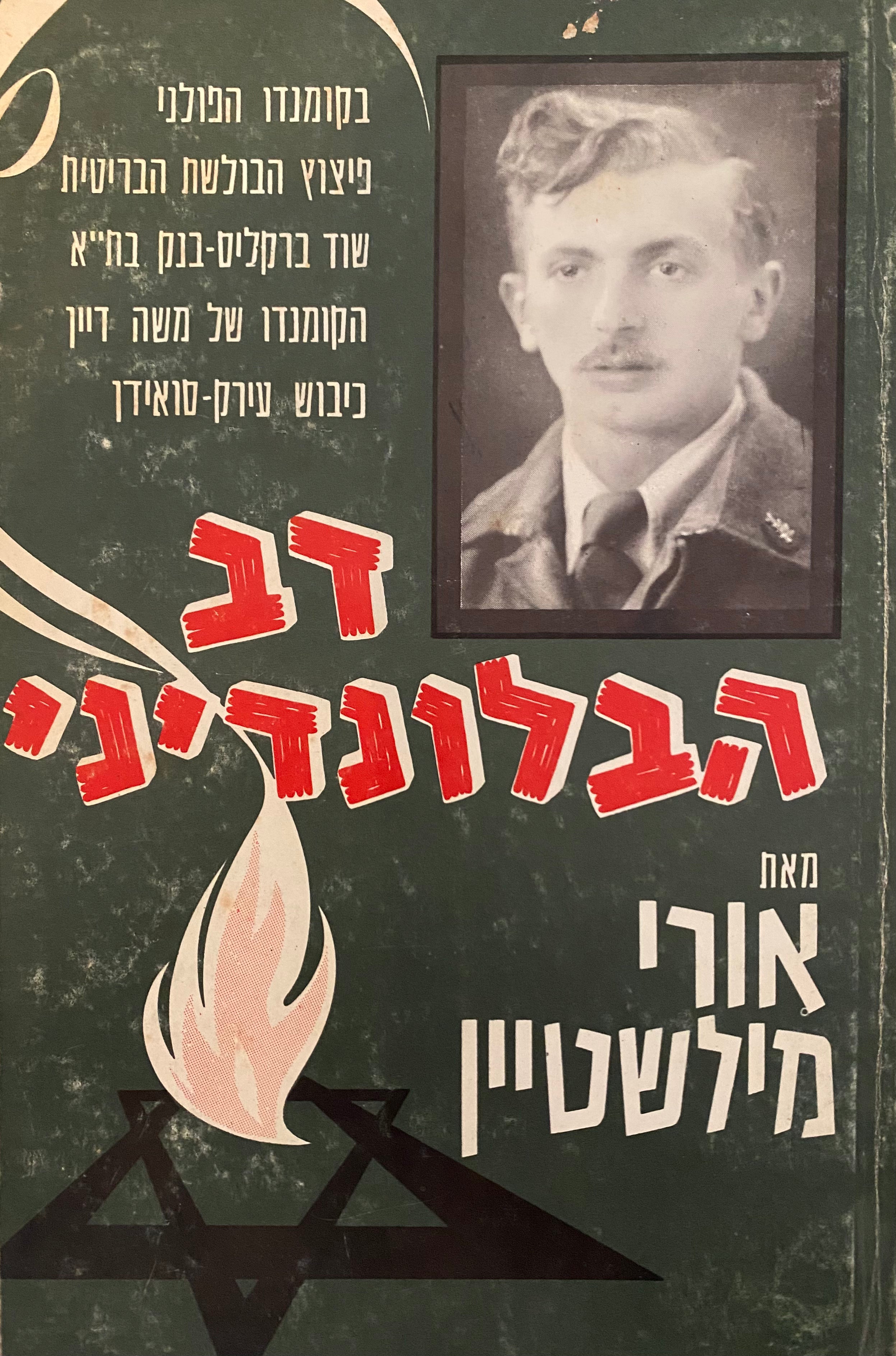 דב הבלונדיני