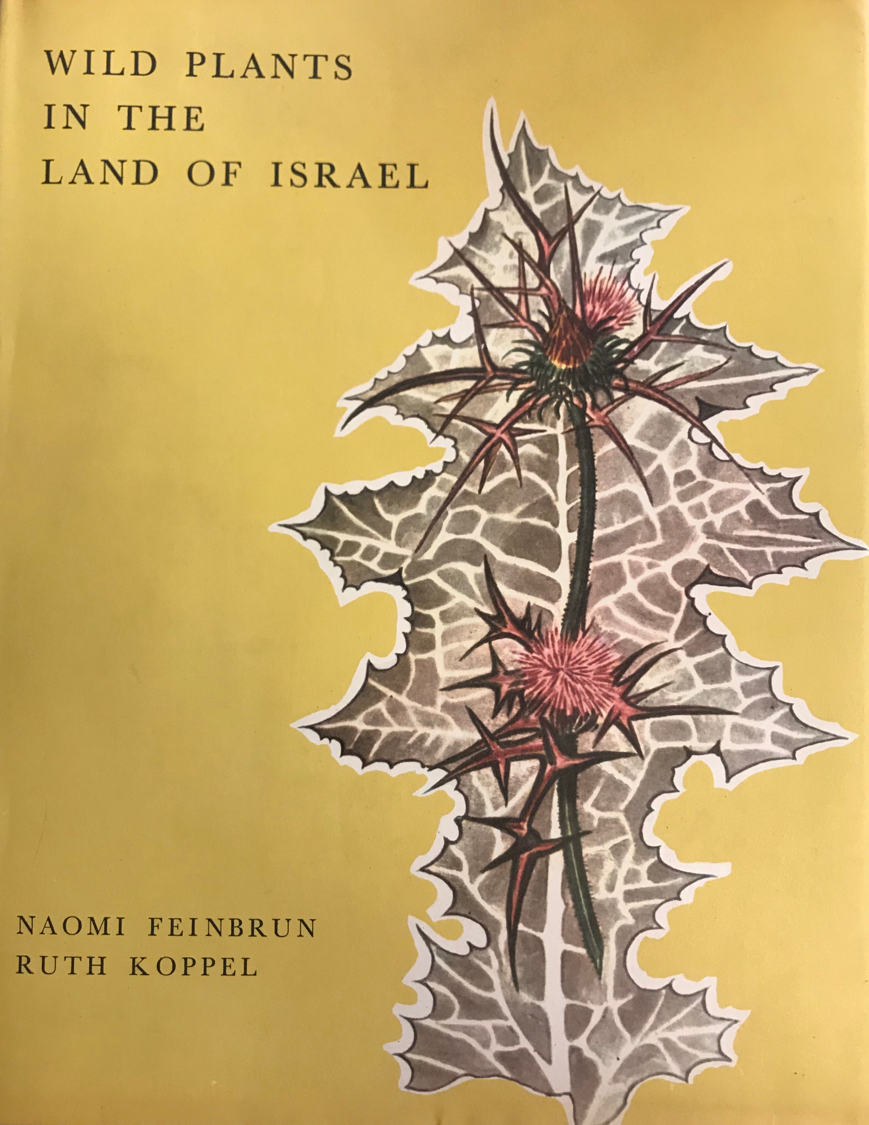 WILD PLANTS IN THE LAND OF ISRAEL