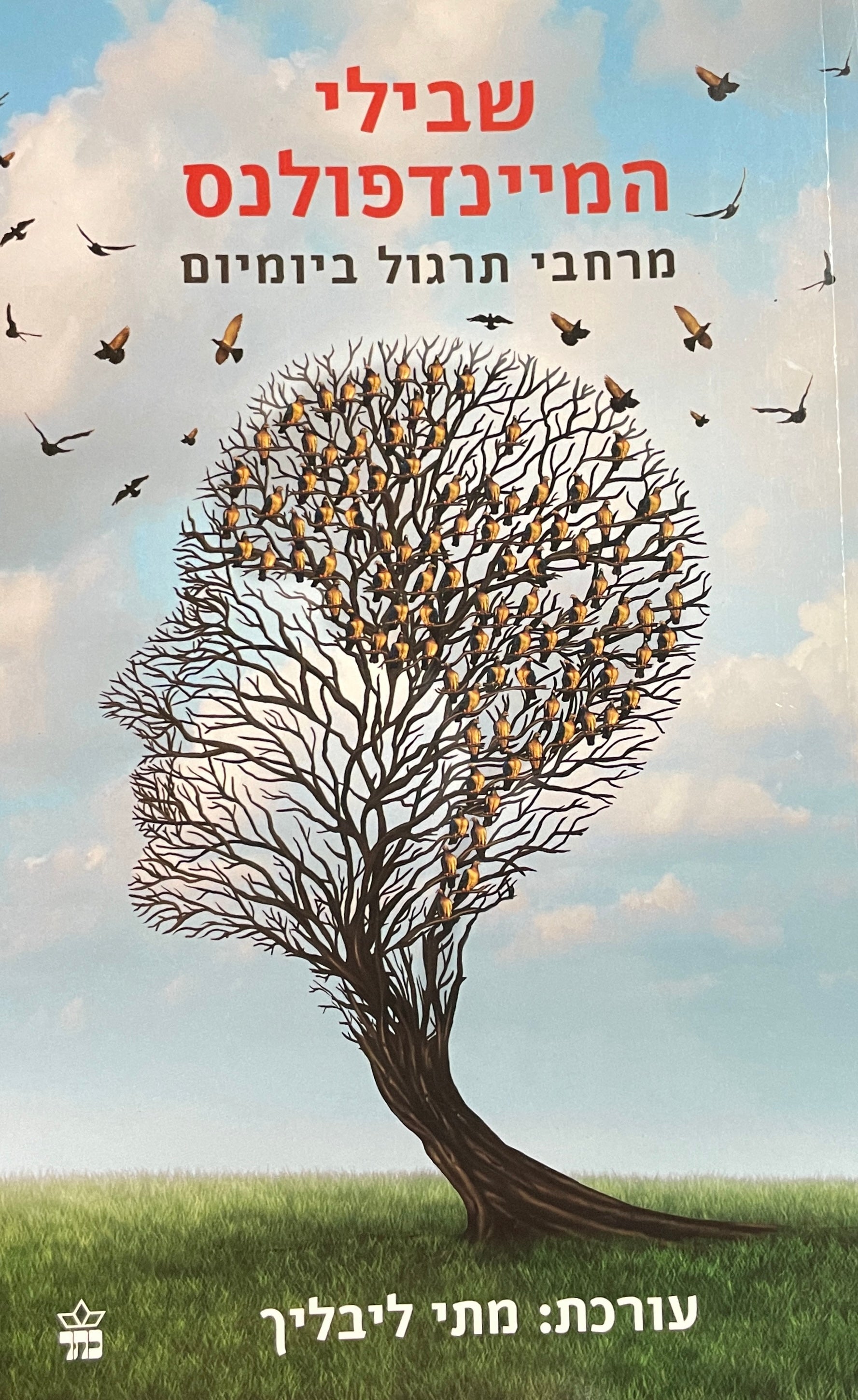 שבילי המיינדפולנס / מרחבי תרגול ביומיום