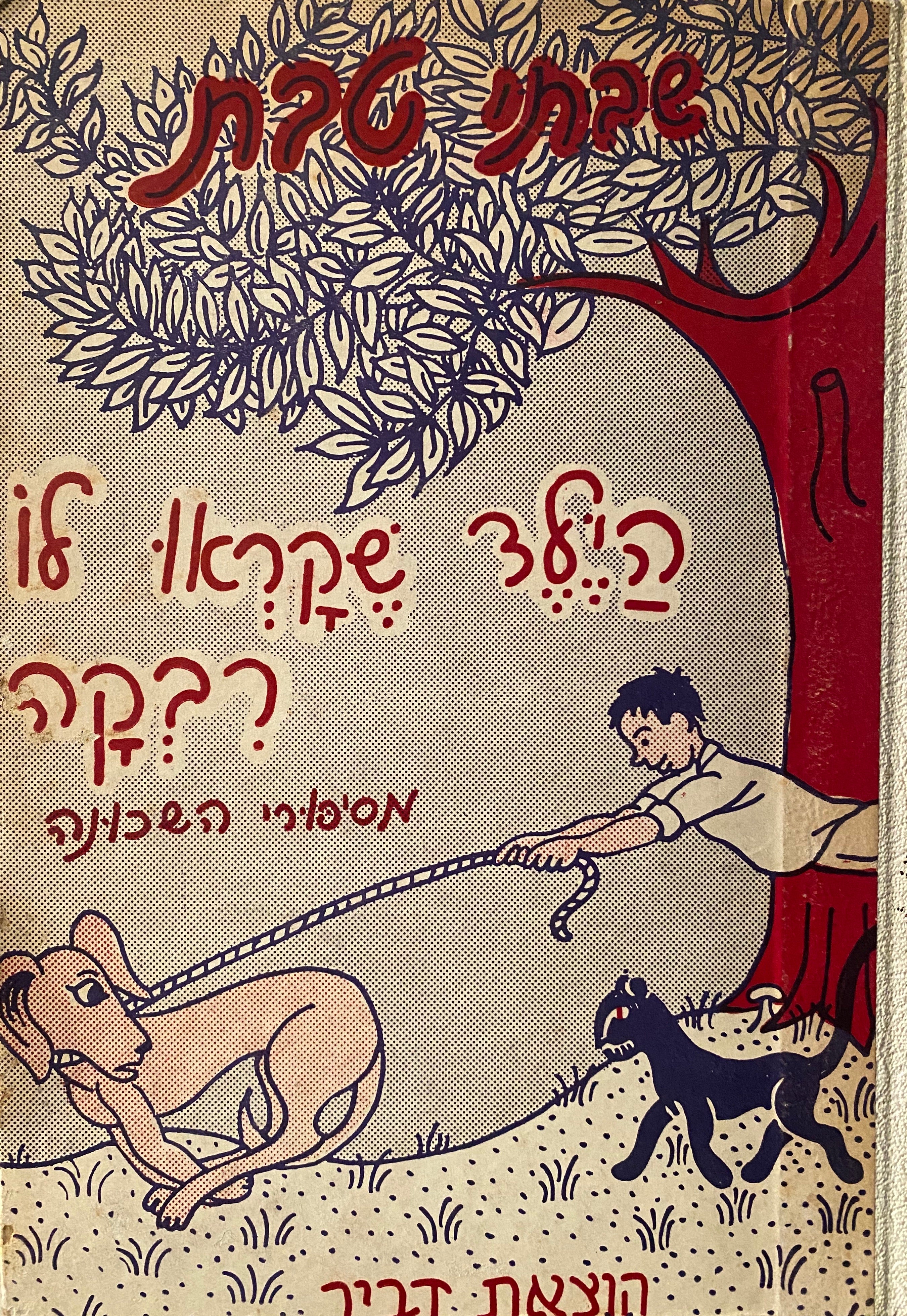 הילד שקראו לו רבקה / מסיפורי השכונה