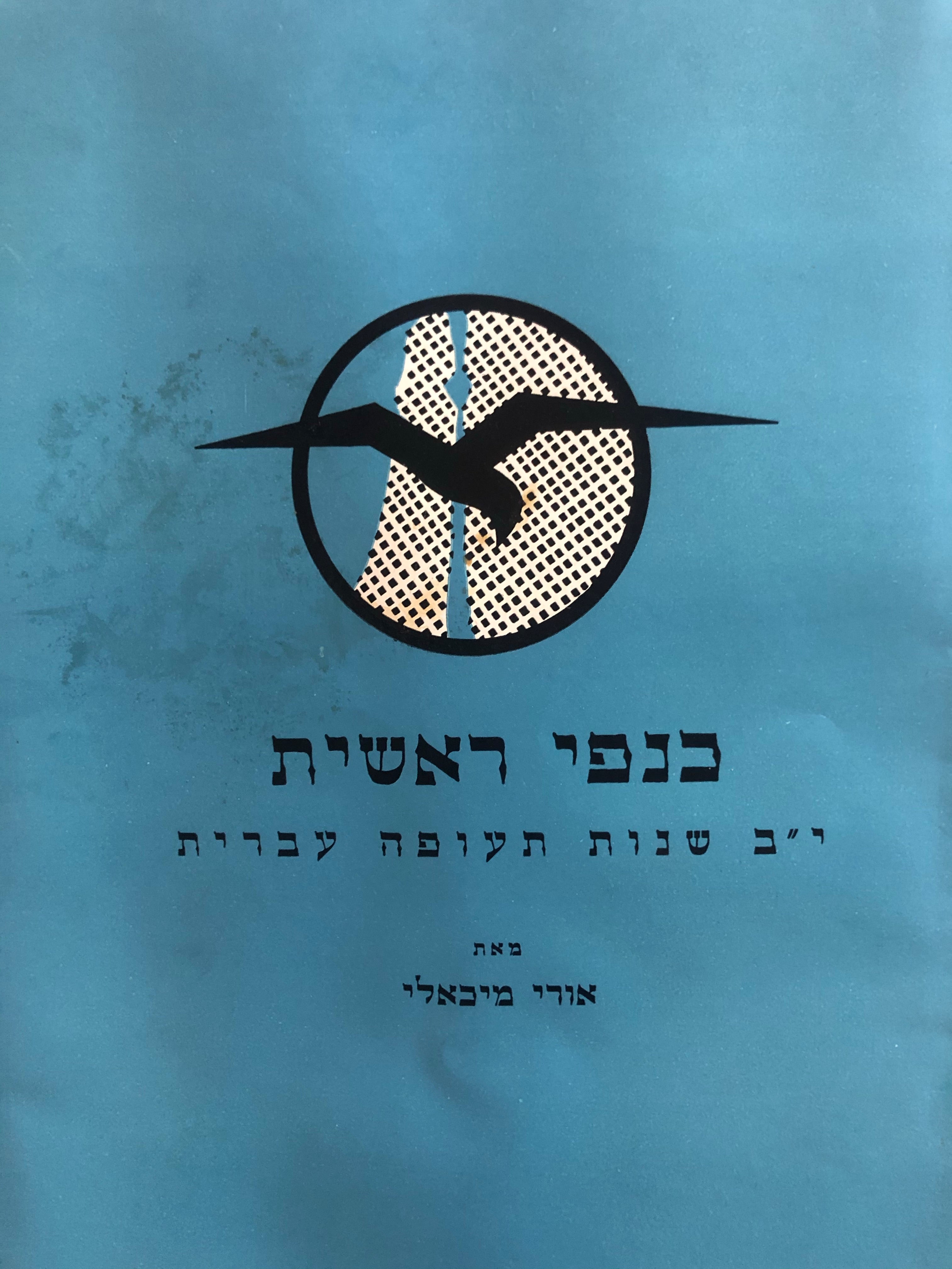כנפי ראשית / י"ב שנות תעופה עברית