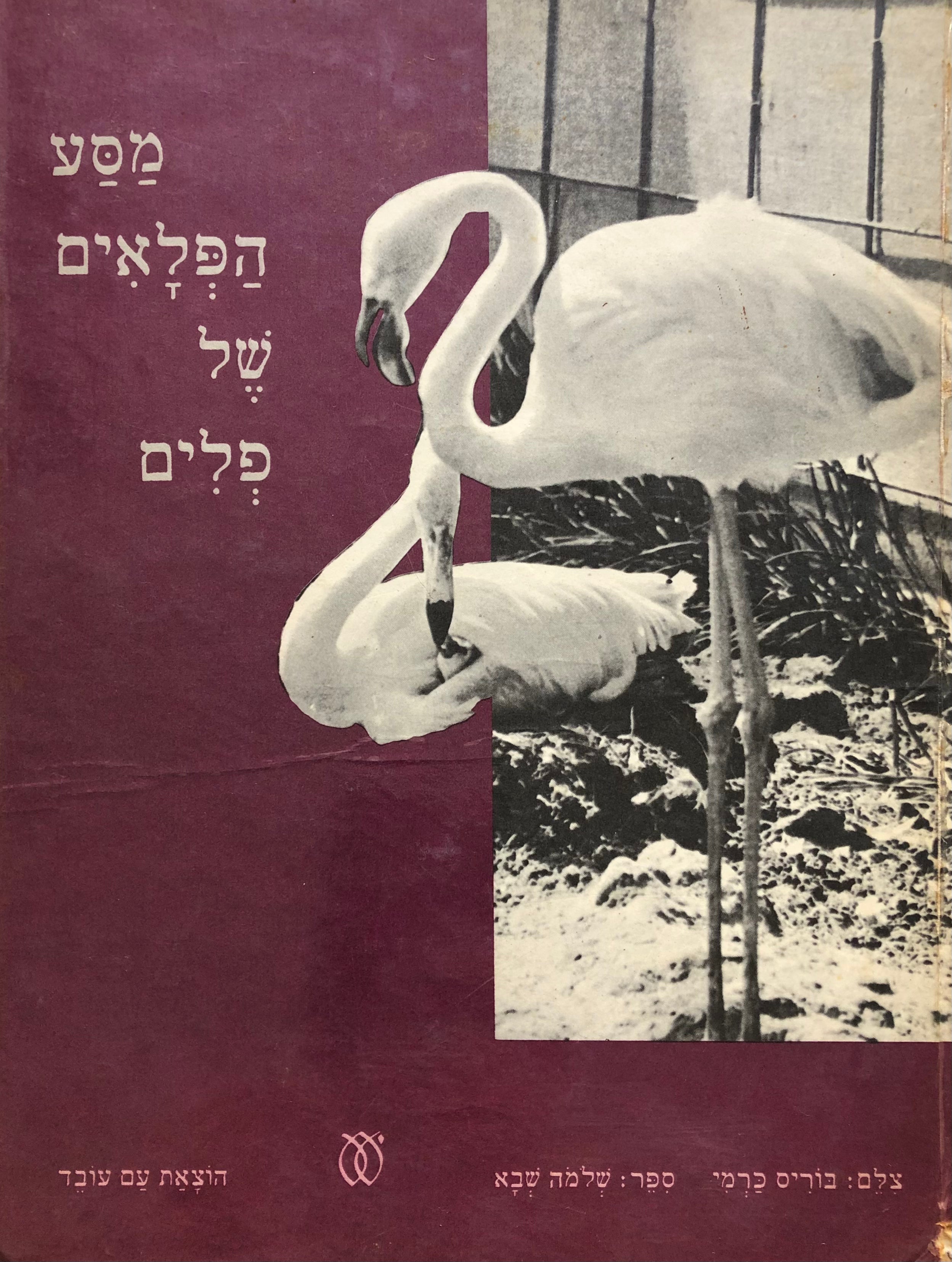 מסע הפלאים של פלים