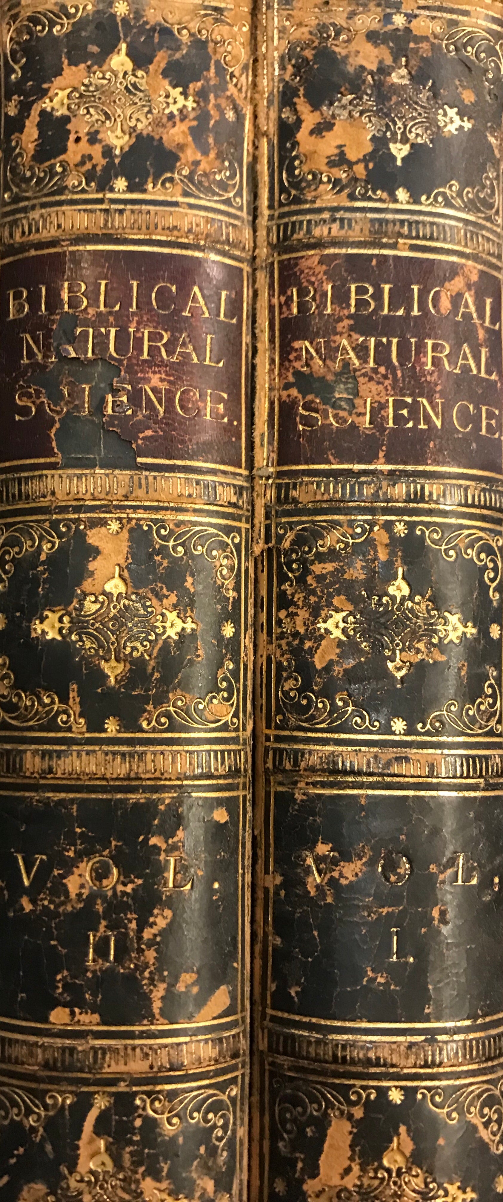 BIBLICAL NATURAL SCIENCE/ BEING THE EXPLANATION OF ALL REFERENCES IN HOLY SCRIPTURE