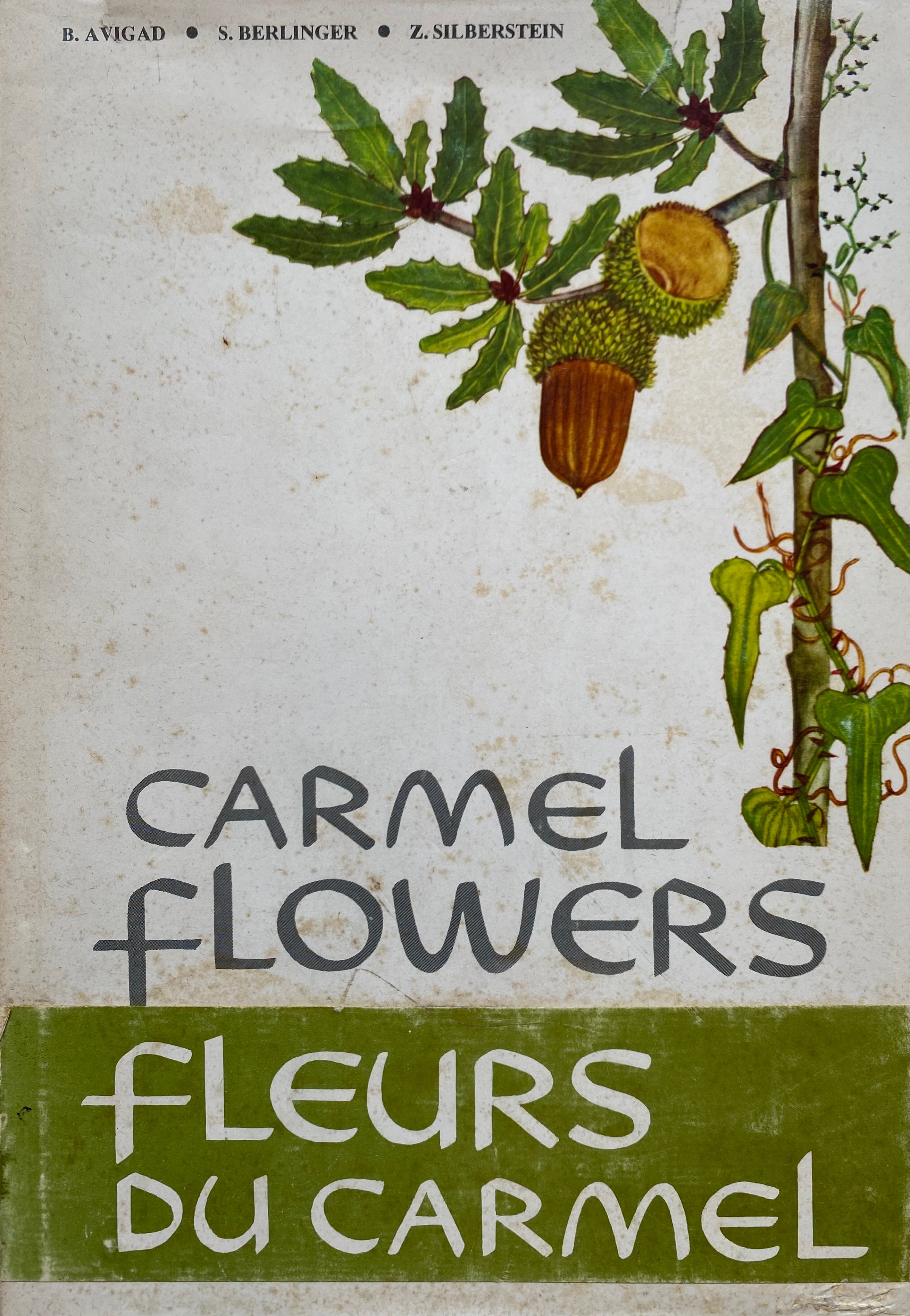 CARMEL FLOWERS