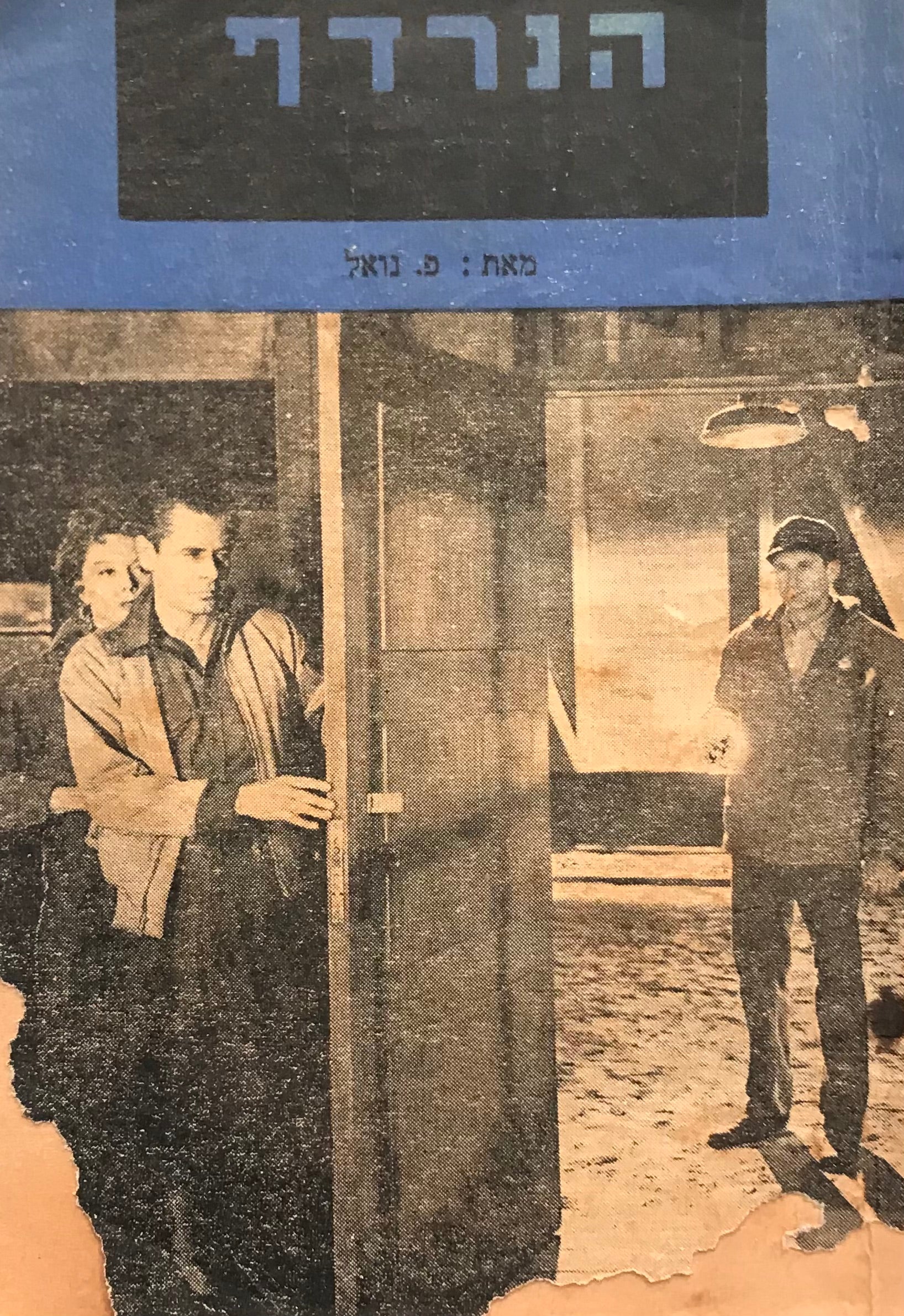 הנרדף / רומן אהבה