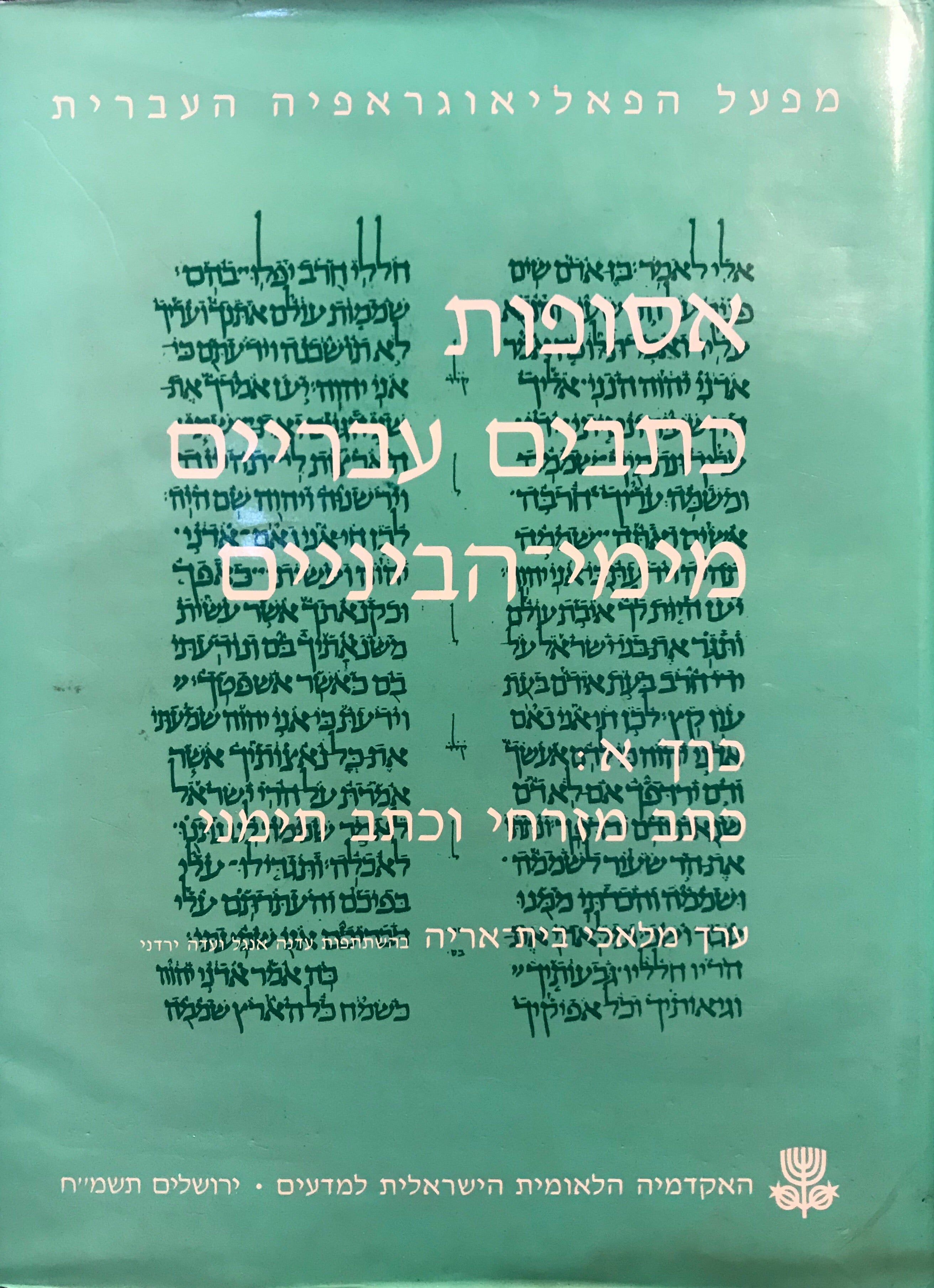 אסופות כתבים עבריים מימי הביניים/ כרך א: כתב מזרחי וכתב תימני