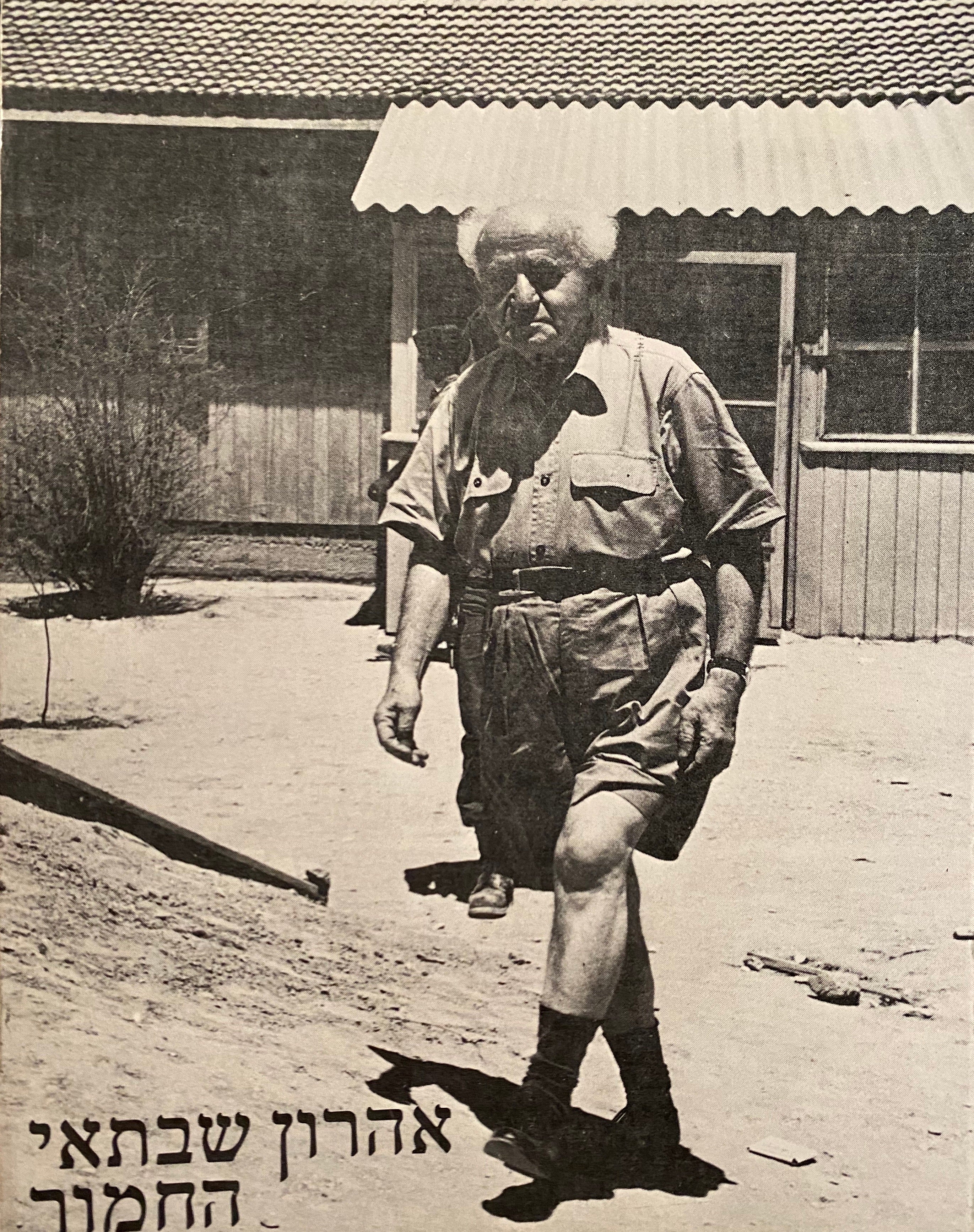 החמור