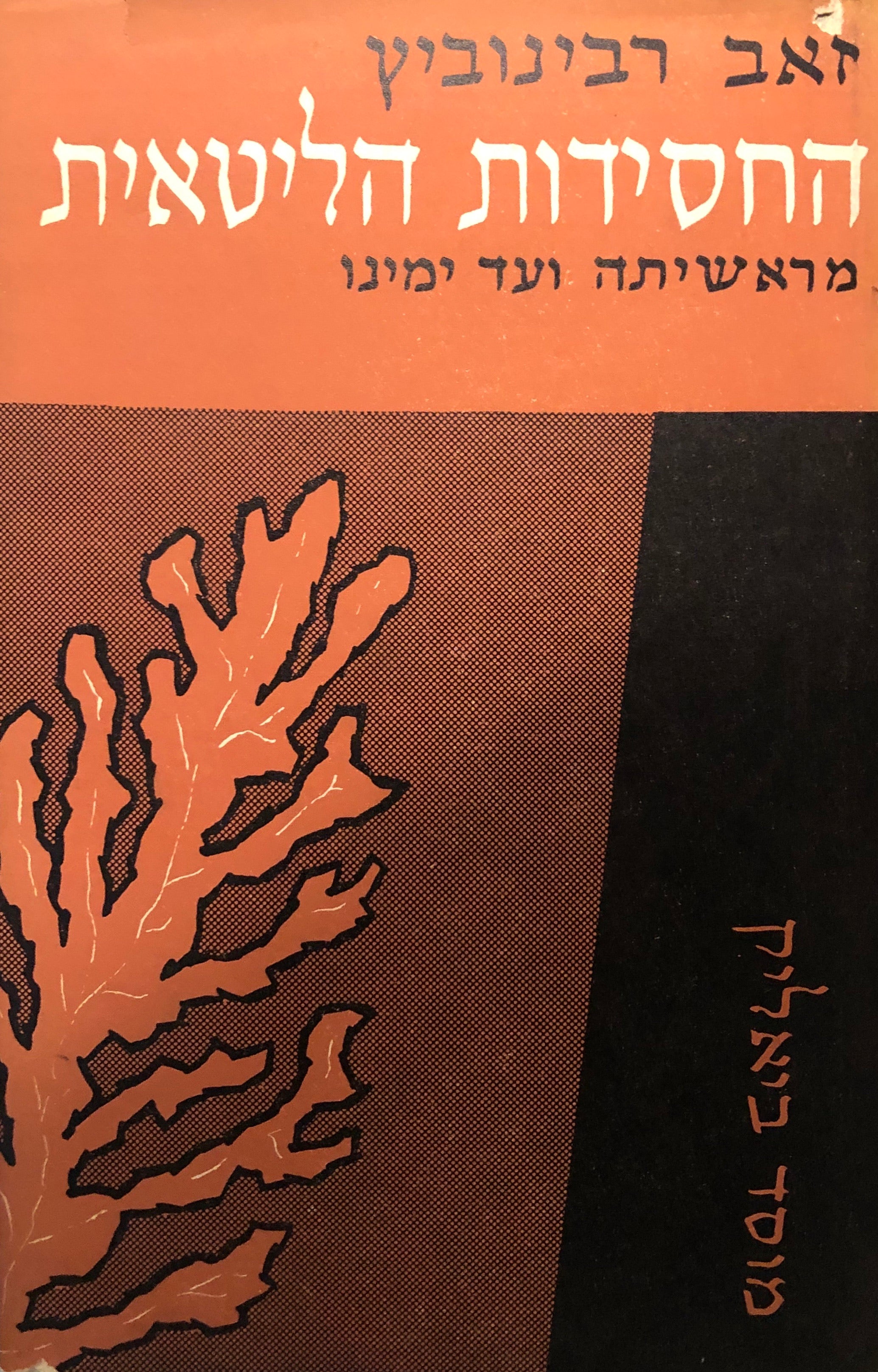 החסידות הליטאית/ מראשיתה ועד ימינו