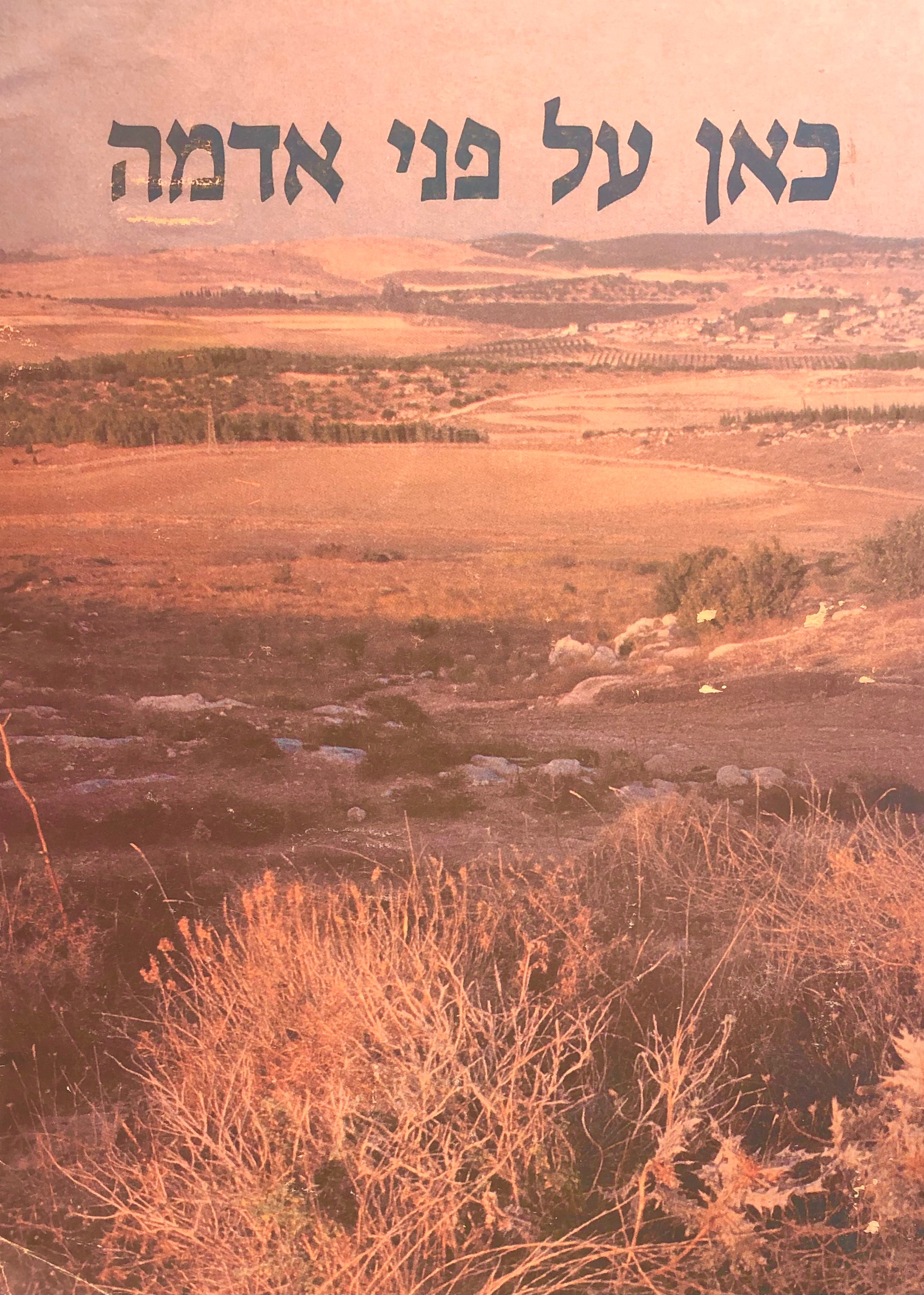 כאן על פני אדמה