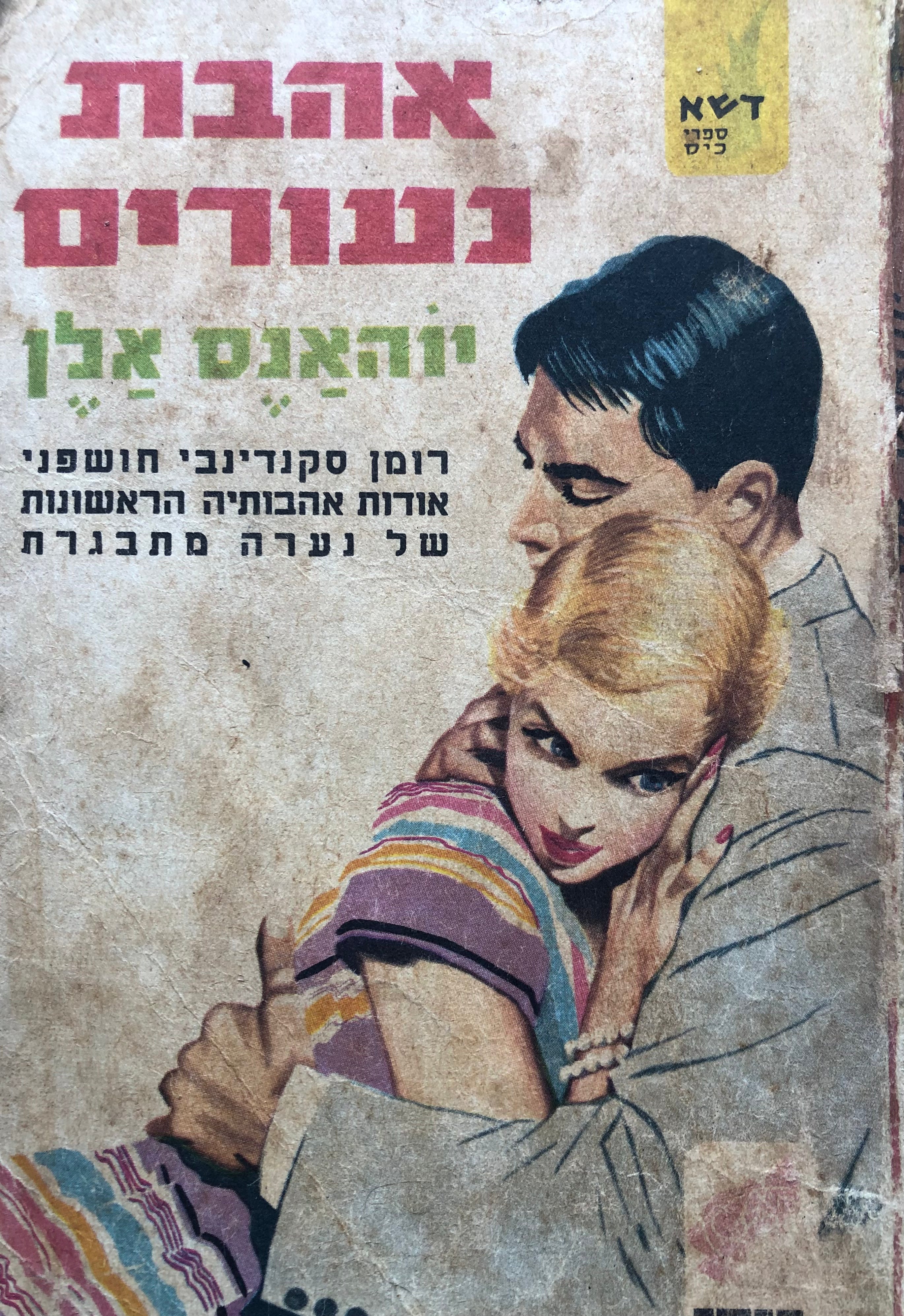 אהבת נעורים / רומן
