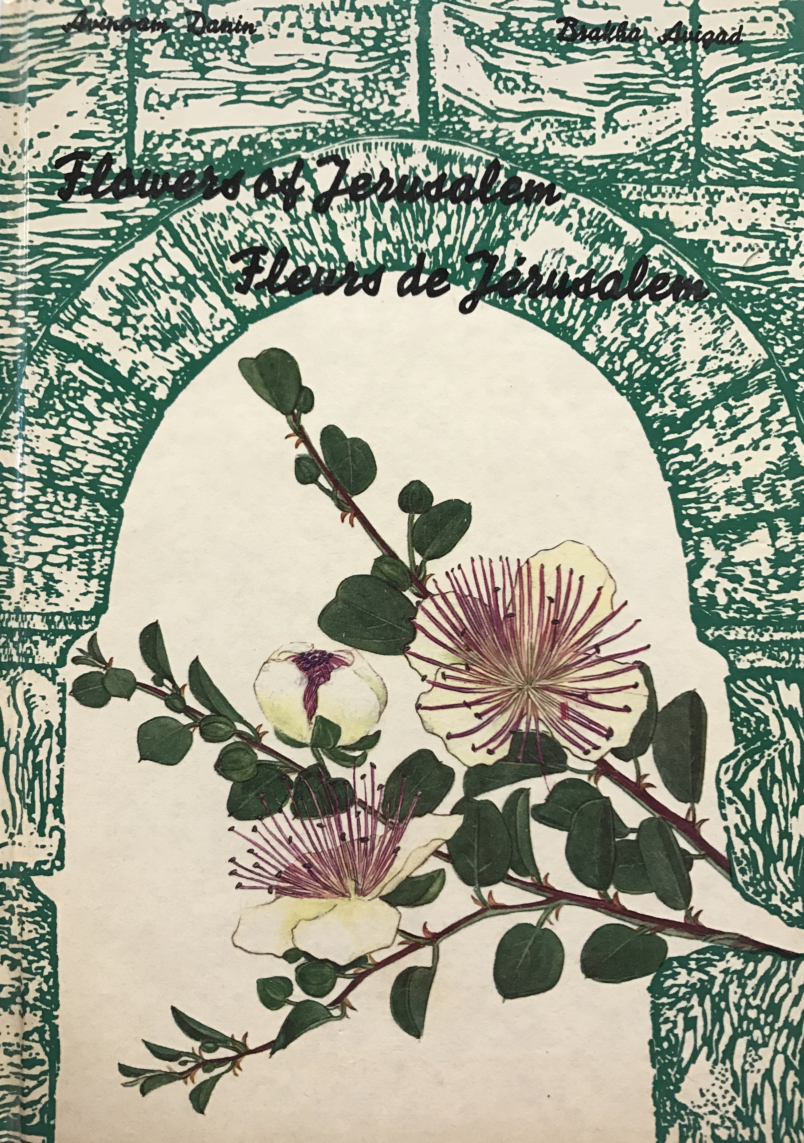 Flowers of Jerusalem / Fleurs de Jerusalem by Brakha Avigad and Avinoam Danin