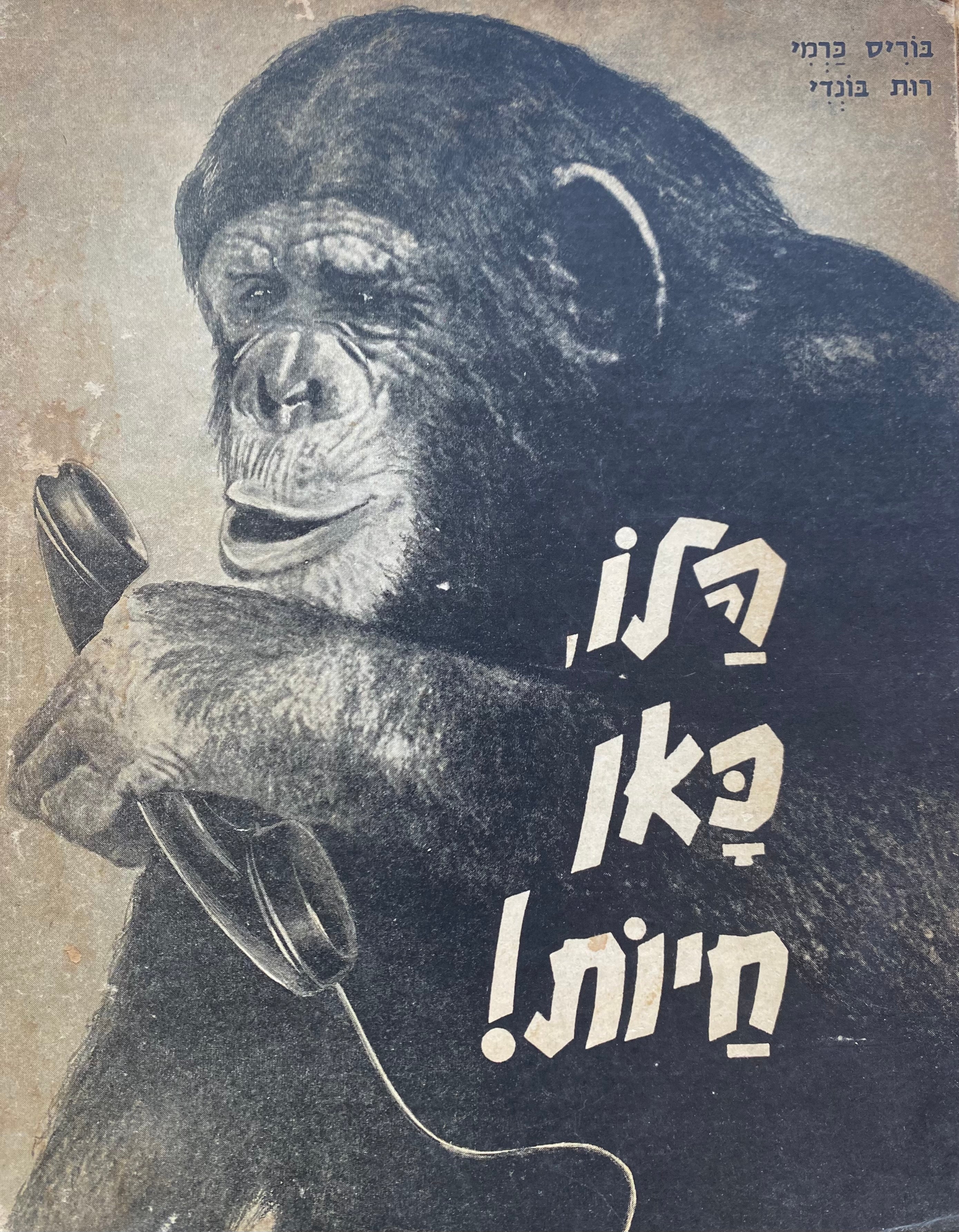 הלו, כאן חיות! / צלם: בוריס כרמי