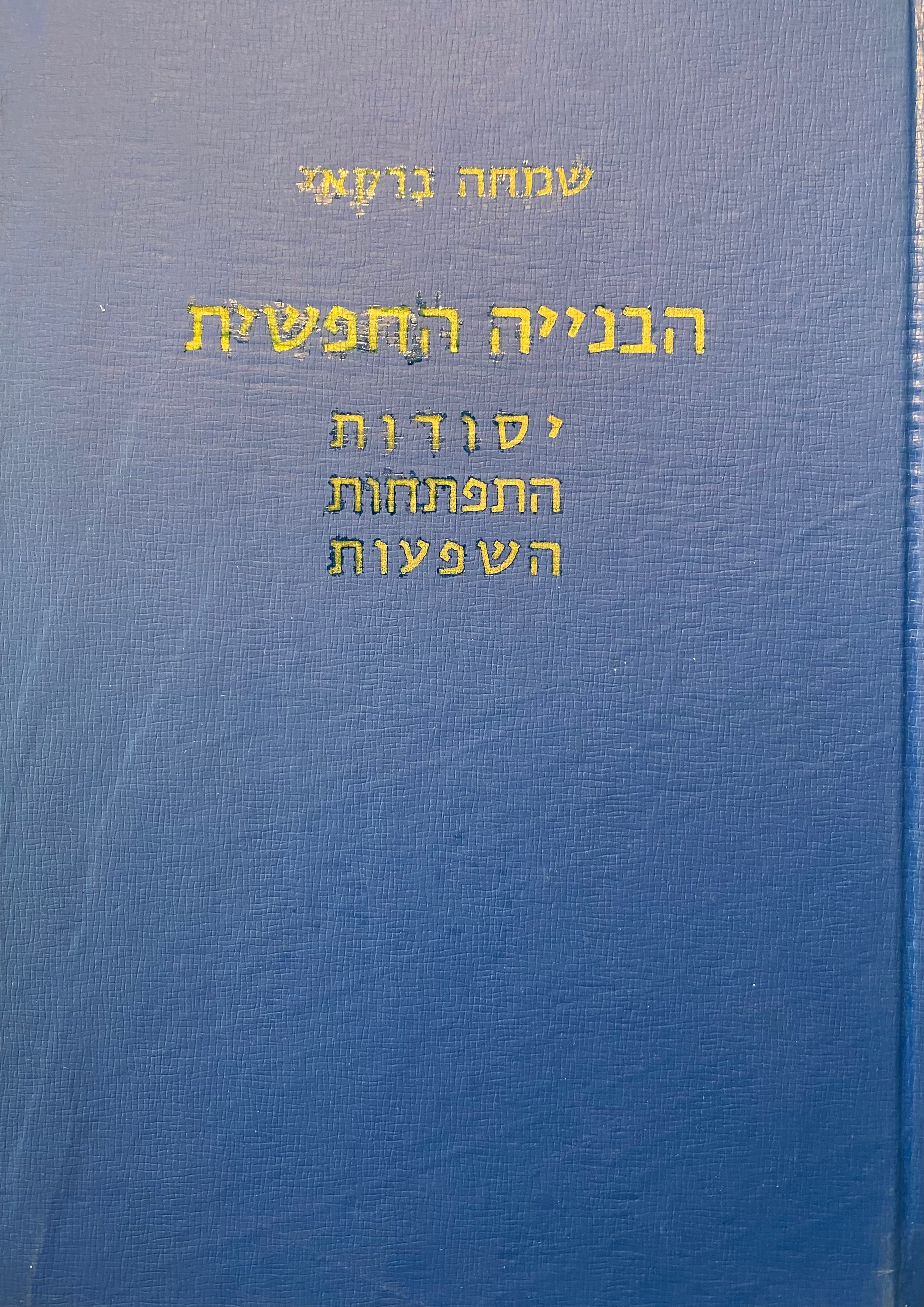 הבנייה החפשית / יסודות התפתחות השפעות