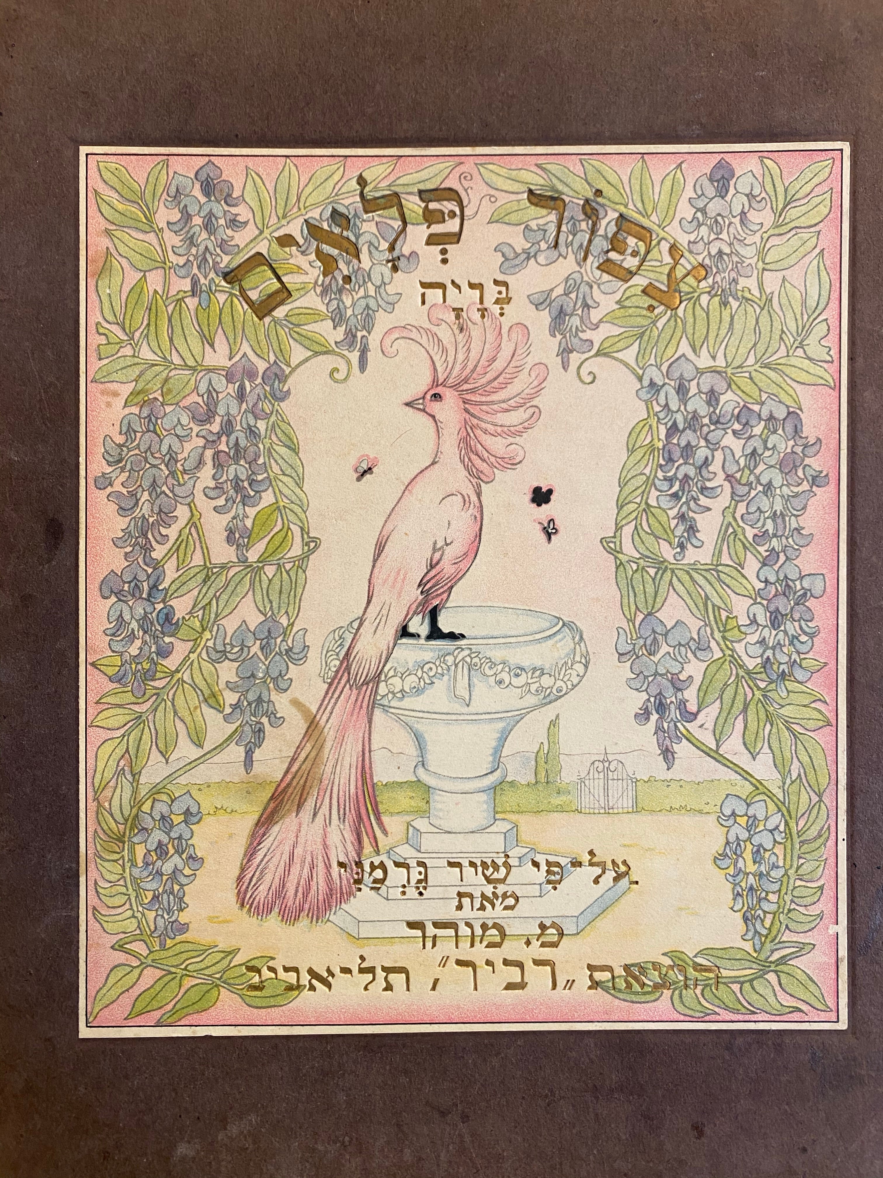 צפור פלאים/ בדיה