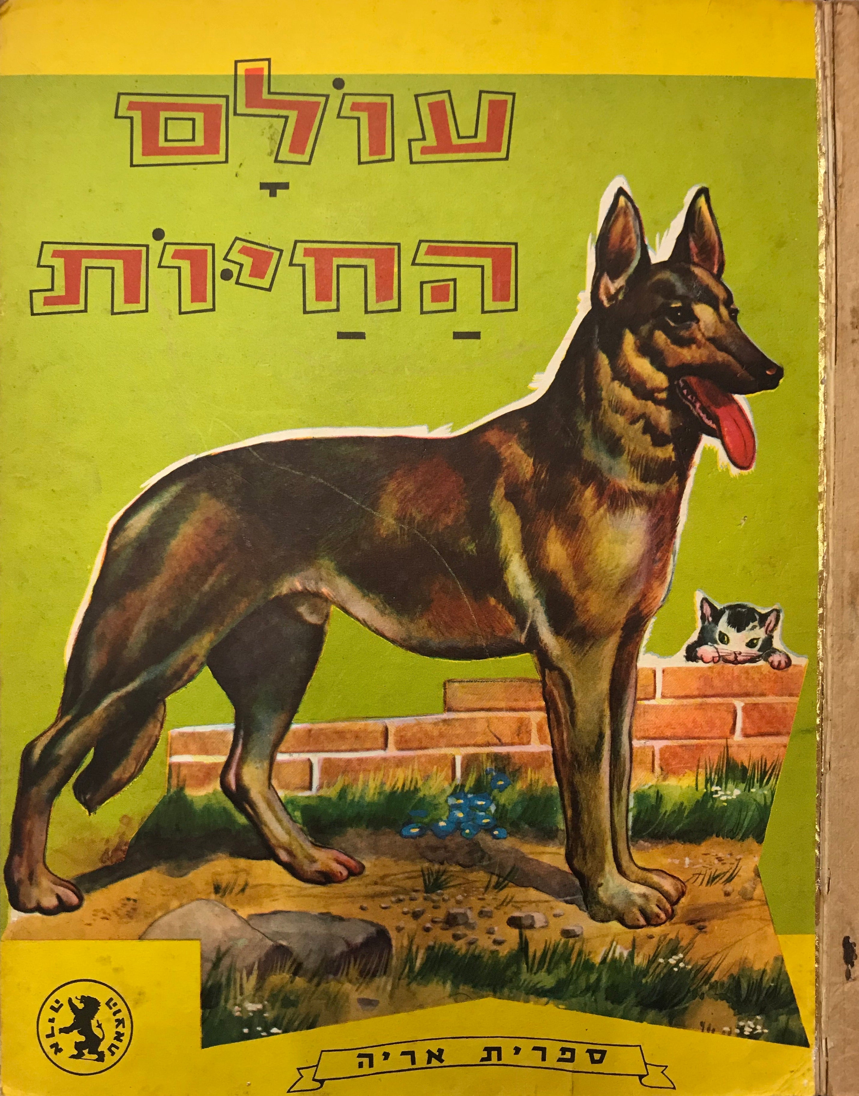 עולם החיות