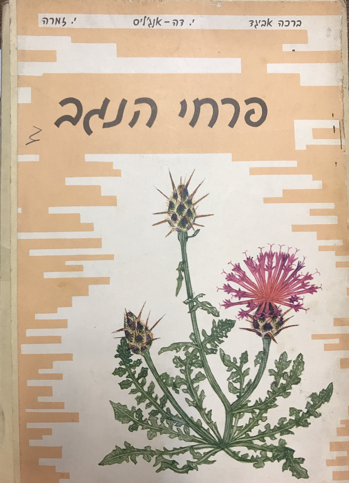 פרחי הנגב