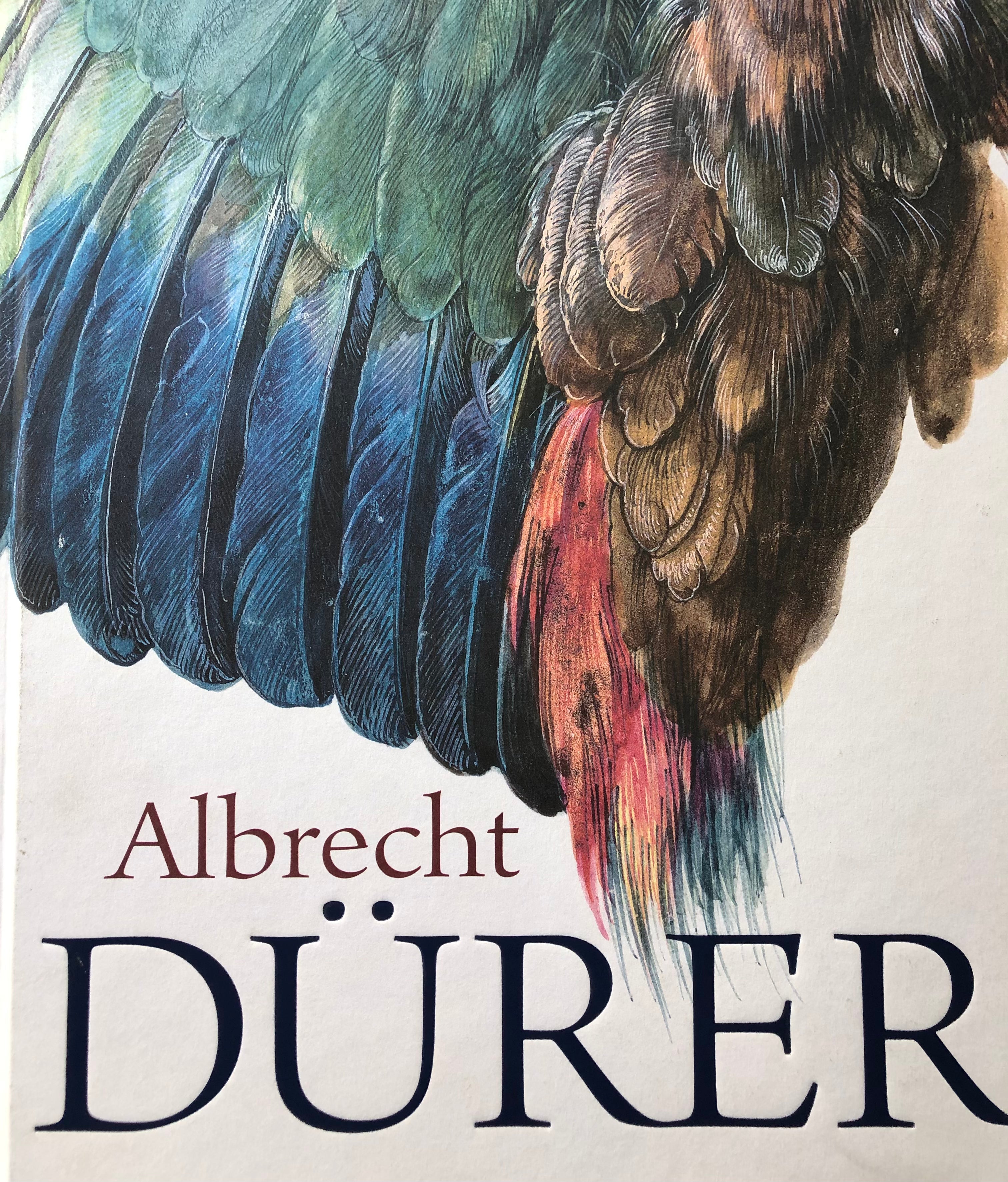 ALBRECHT DURER