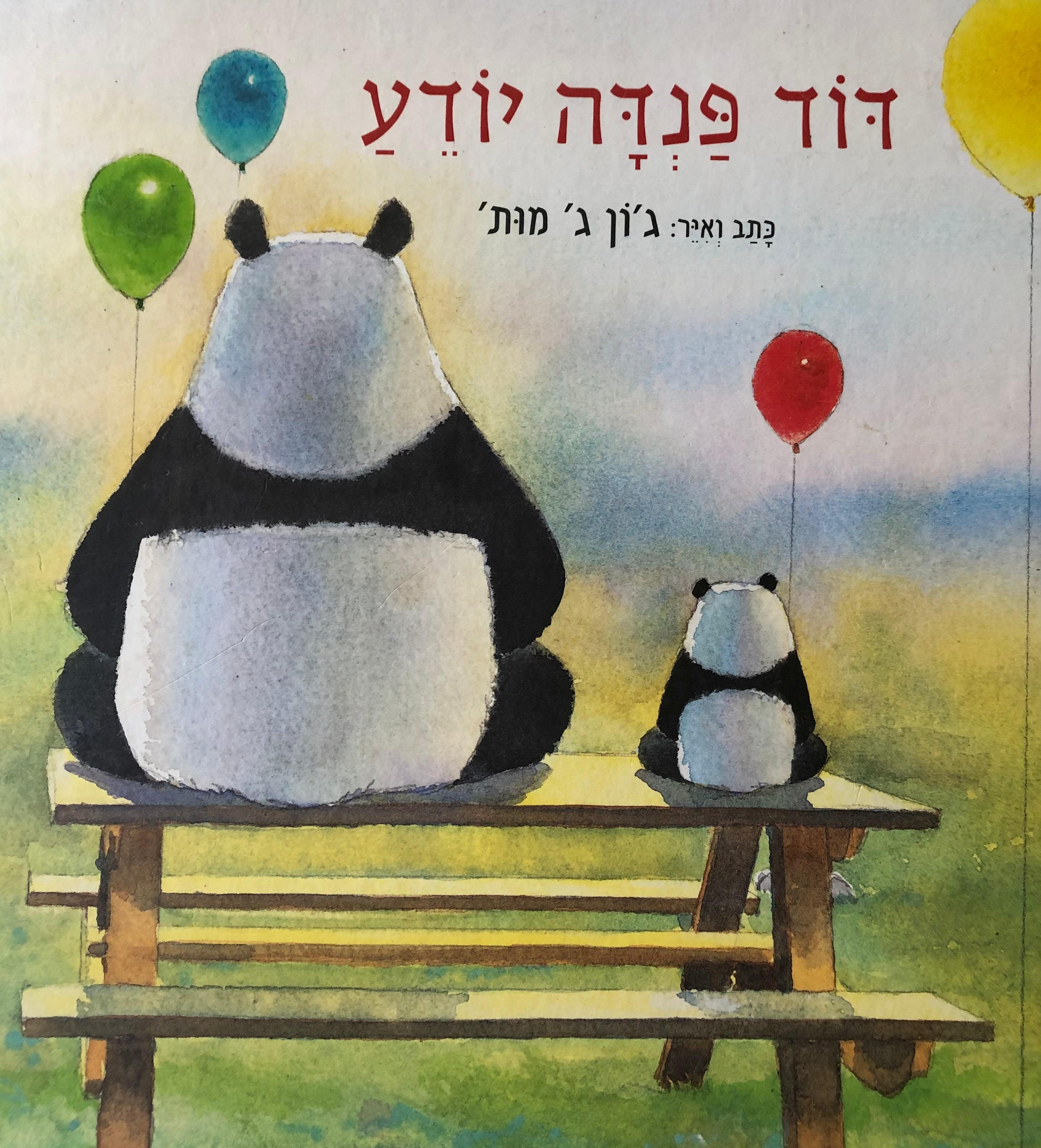 דוד פנדה יודע