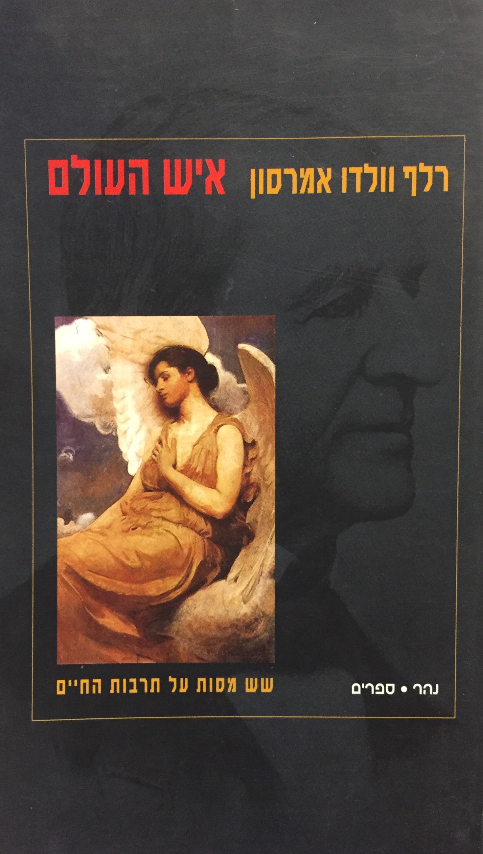איש העולם - שש מסות על תרבות החיים