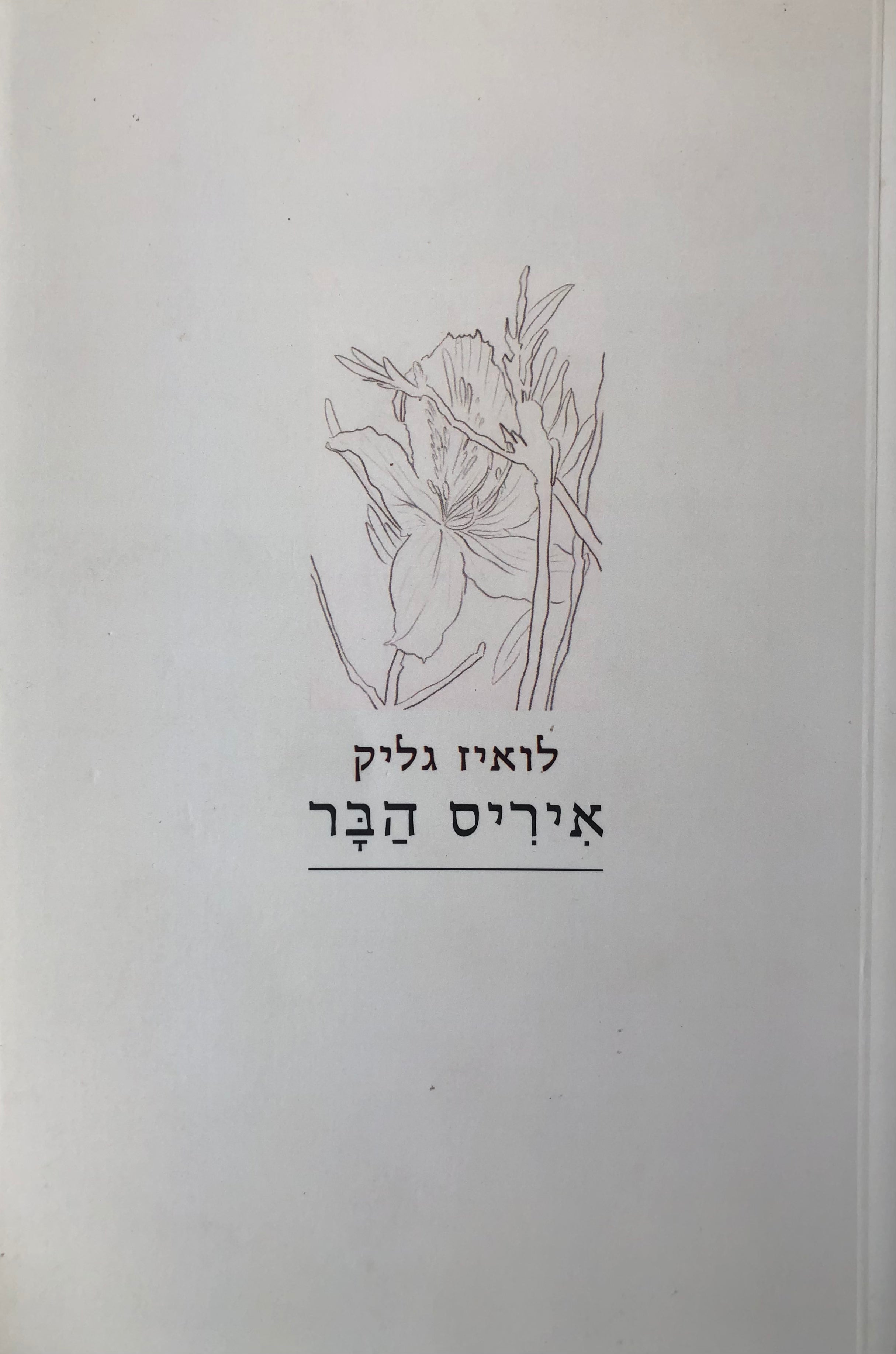 איריס הבר