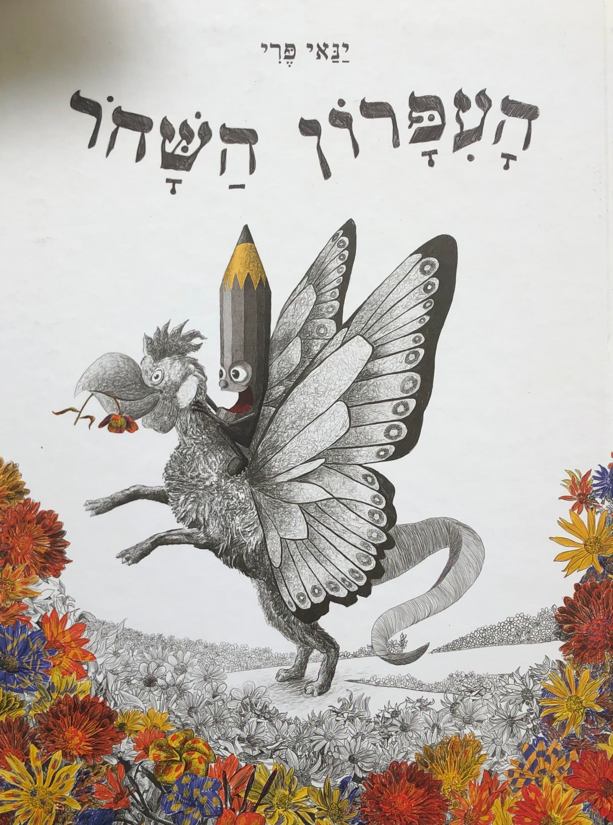 העפרון השחר