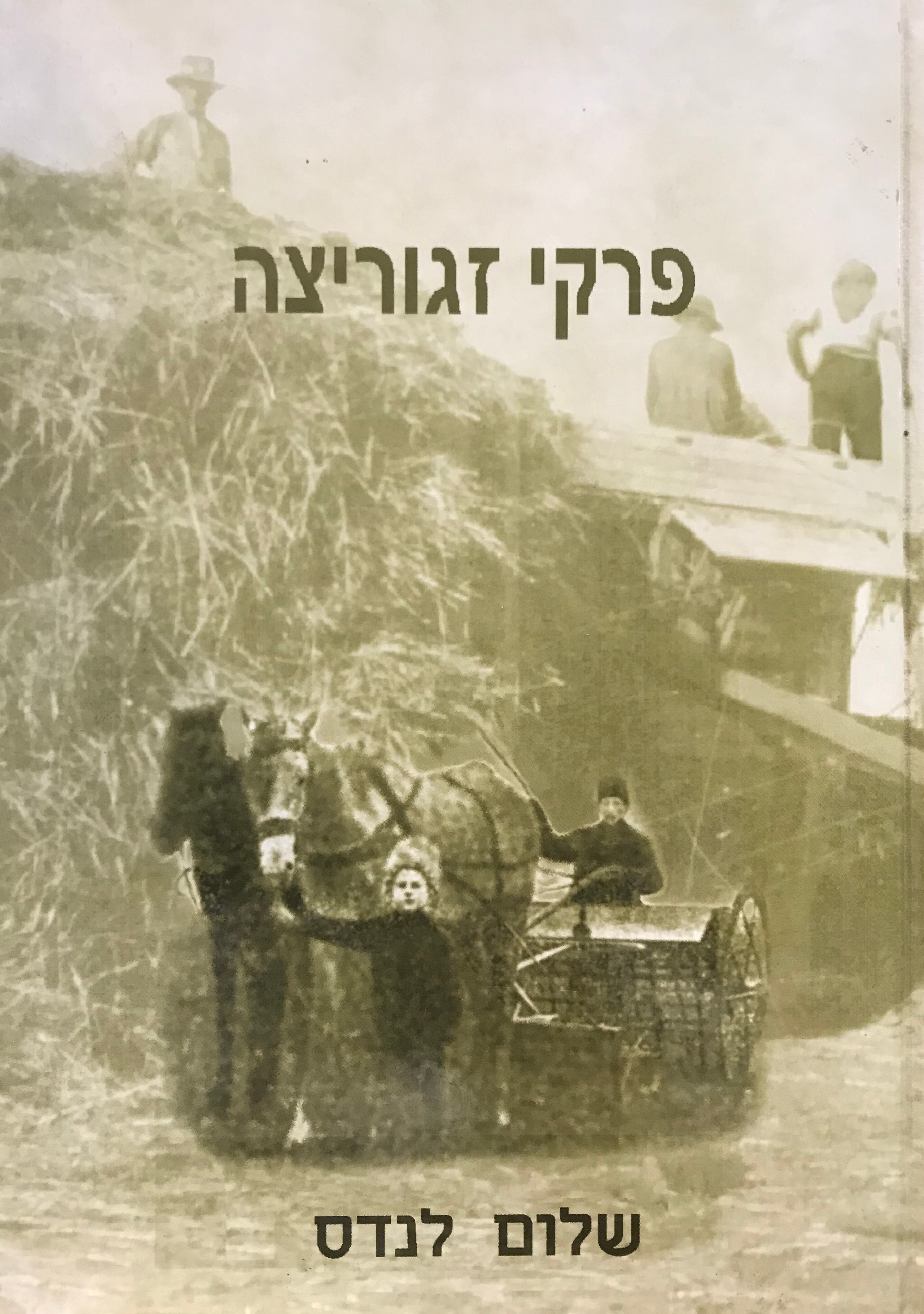 פרקי זגוריצה