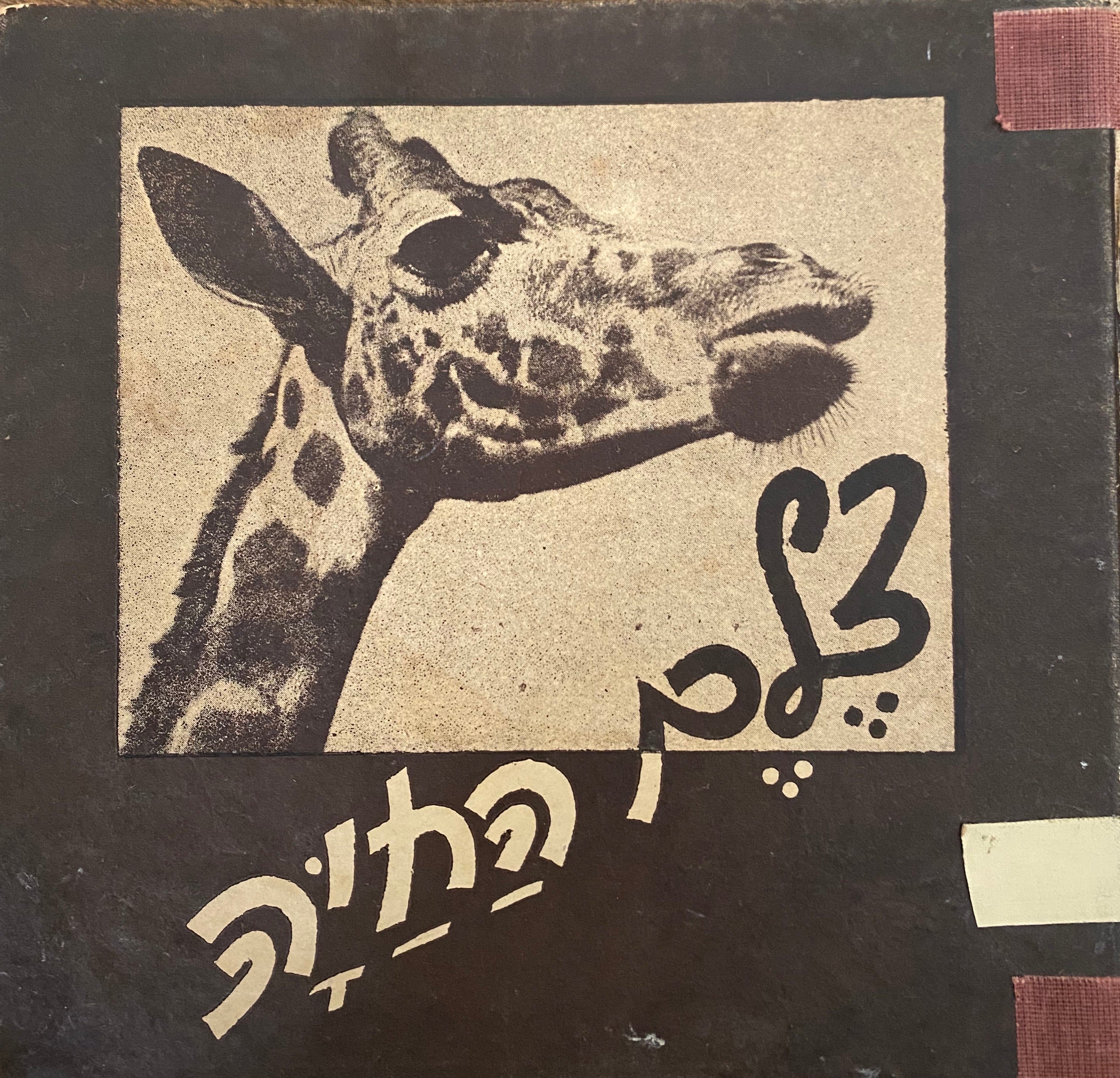 צלם החיה/ עם הקדשה של הצלם למקס ברוד
