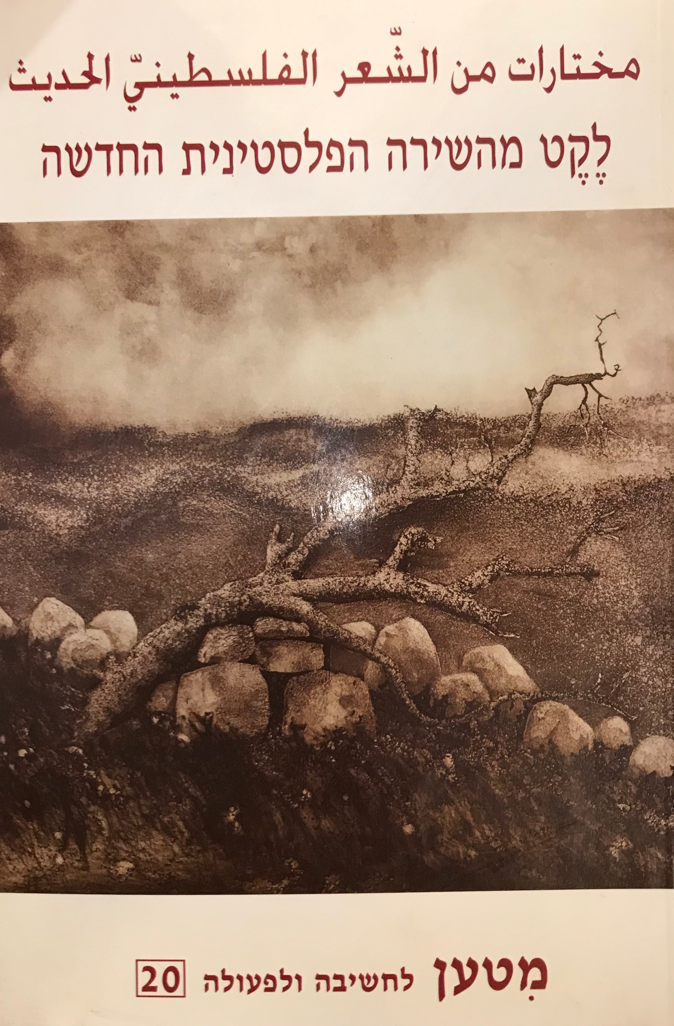 לקט מהשירה הפלסטינית החדשה