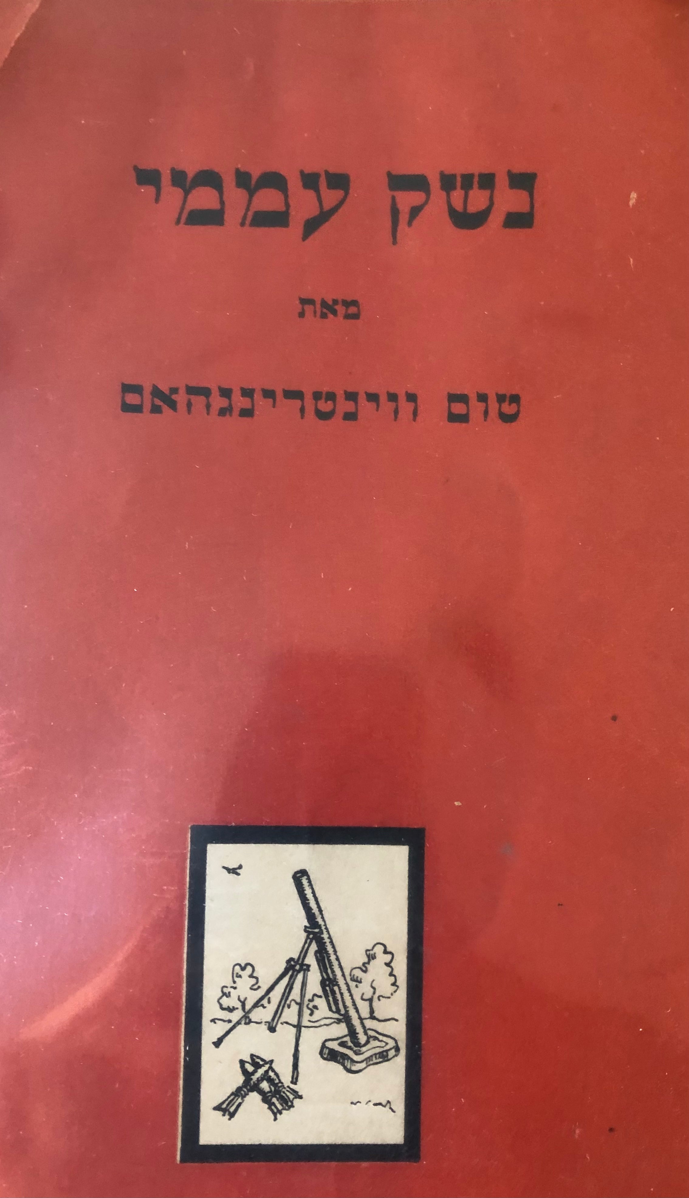 נשק עממי