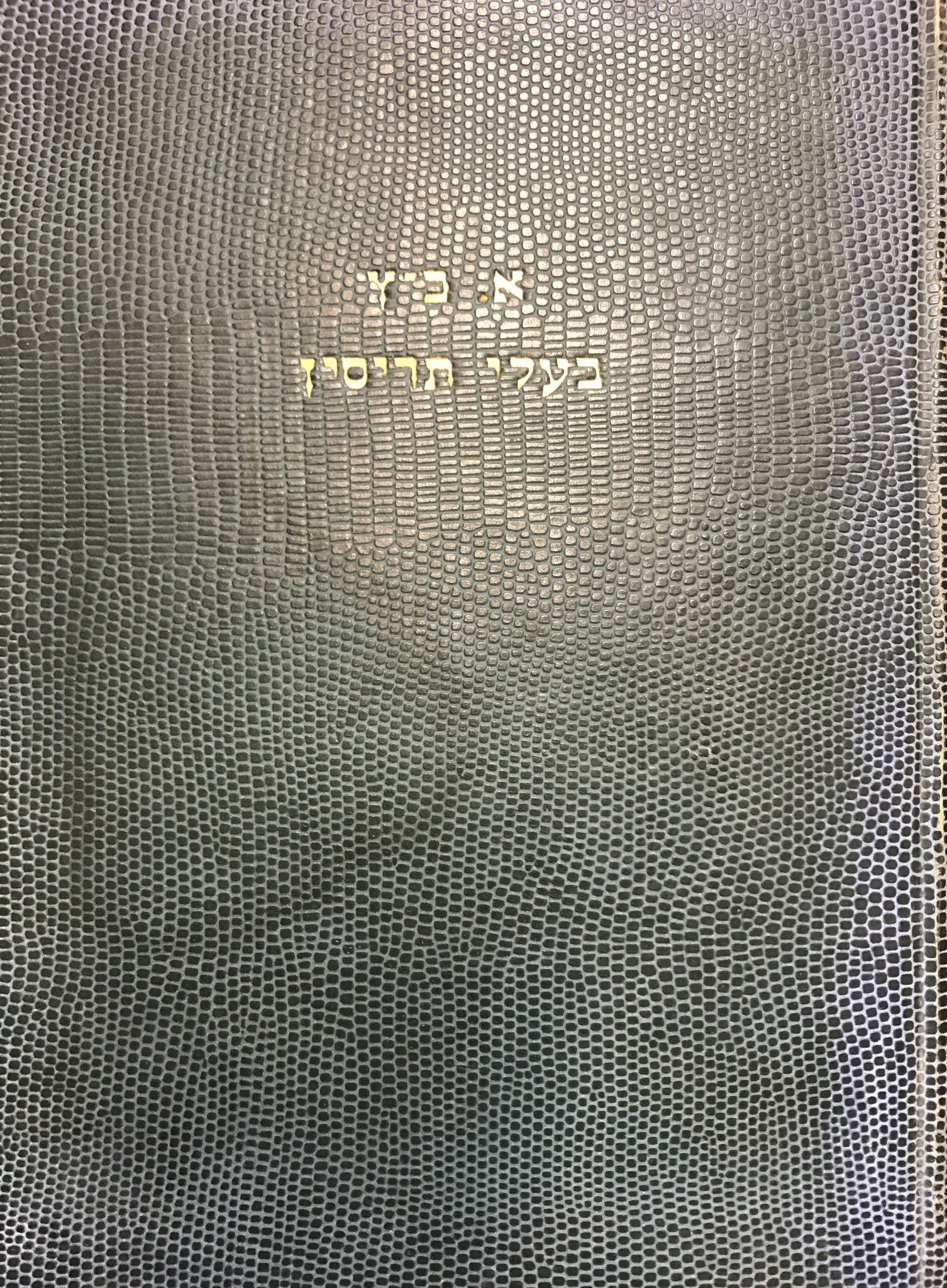 בעלי תריסין/ מחיי הקדשה והחלין של גדולי עמנו בתקופת התלמוד