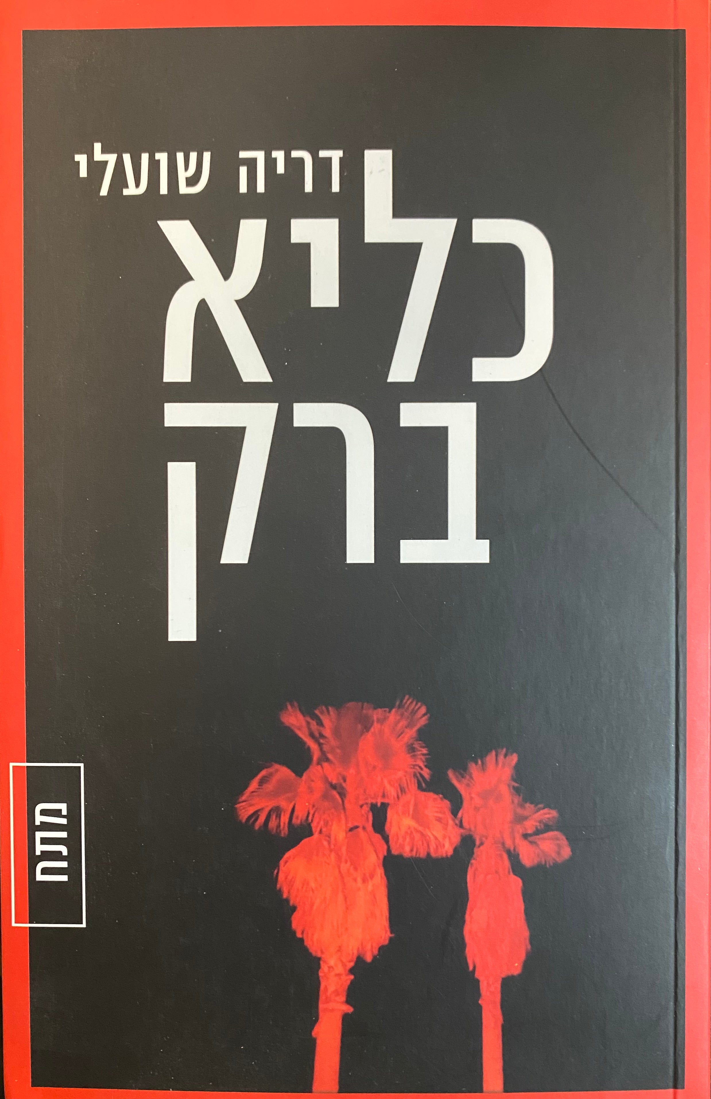 כליא ברק