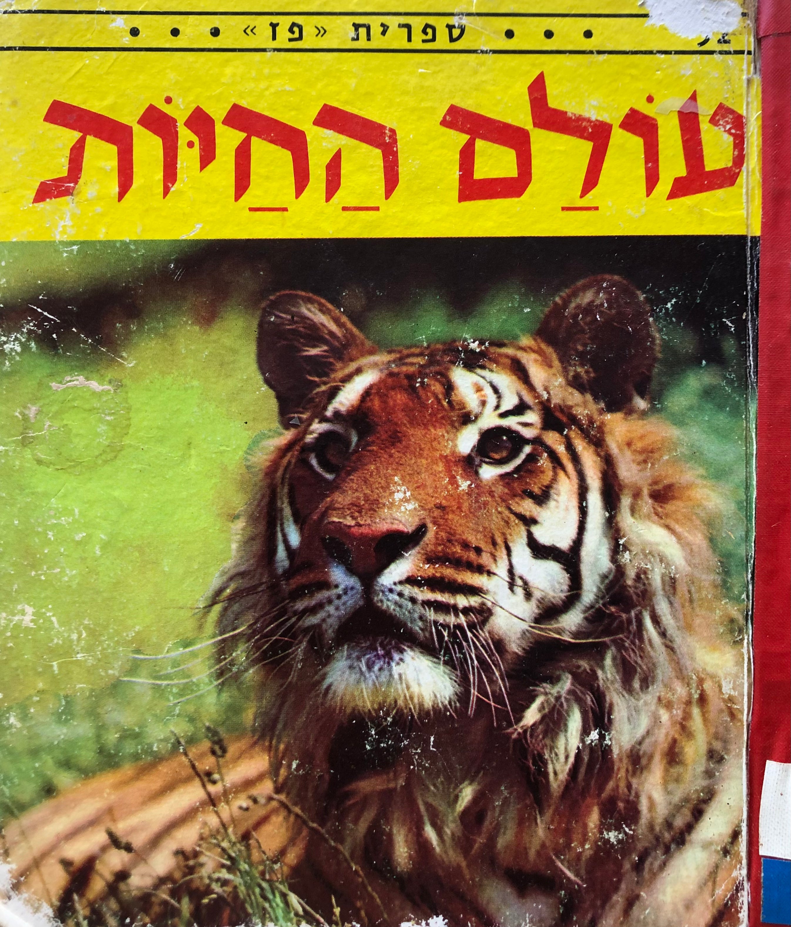 עולם החיות / תרגום: אלישבע