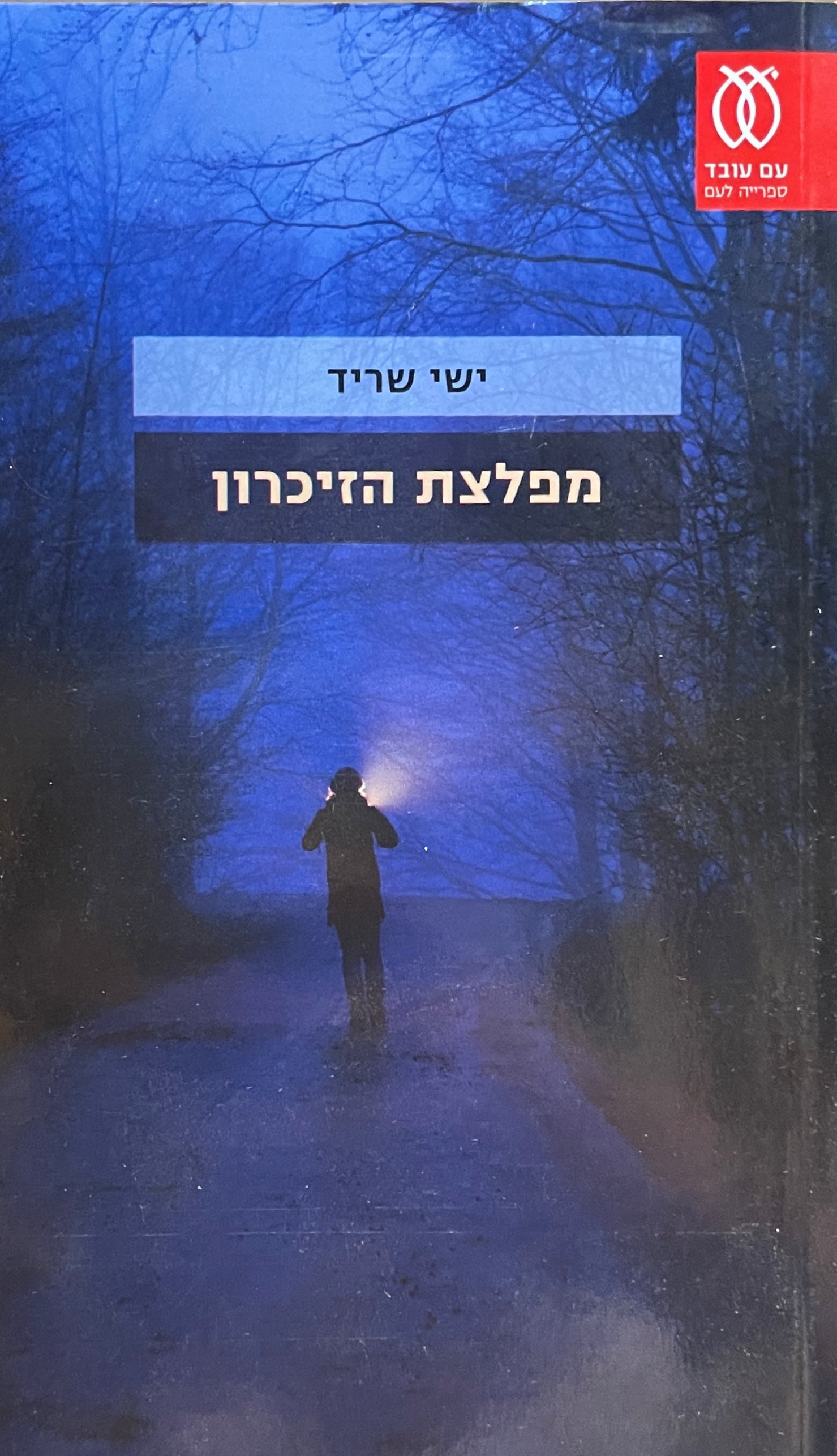מפלצת הזיכרון