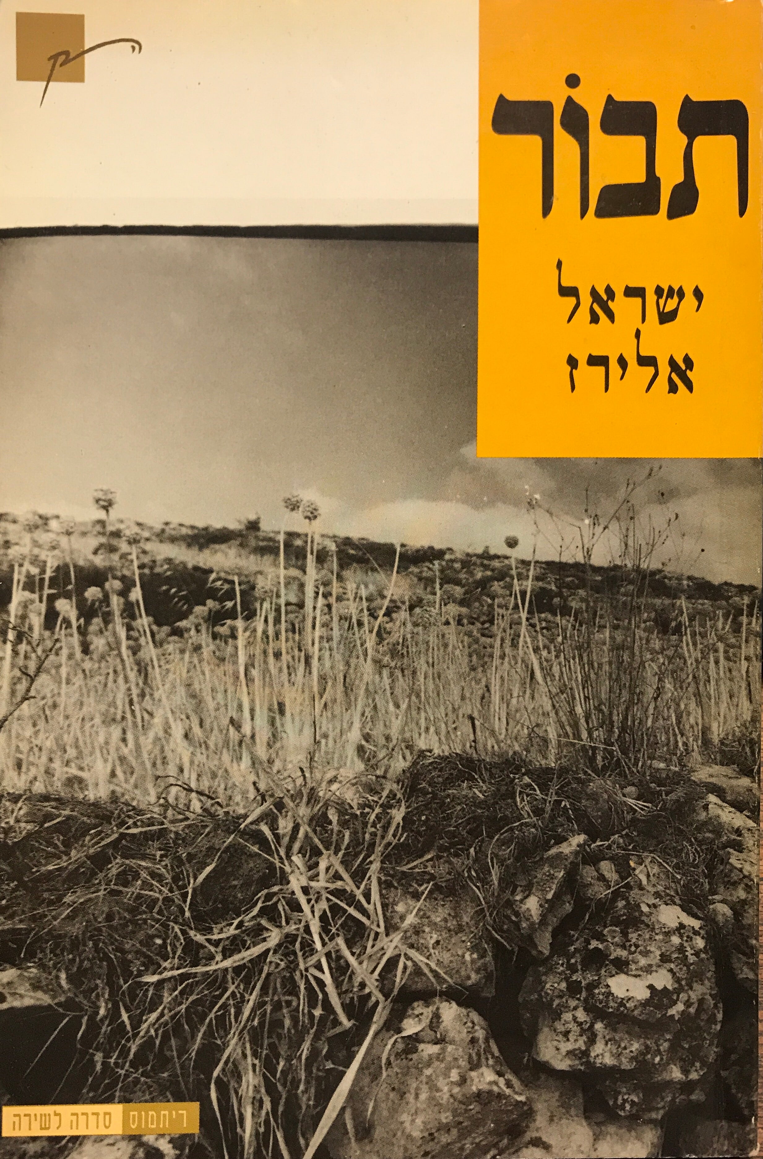 תבור