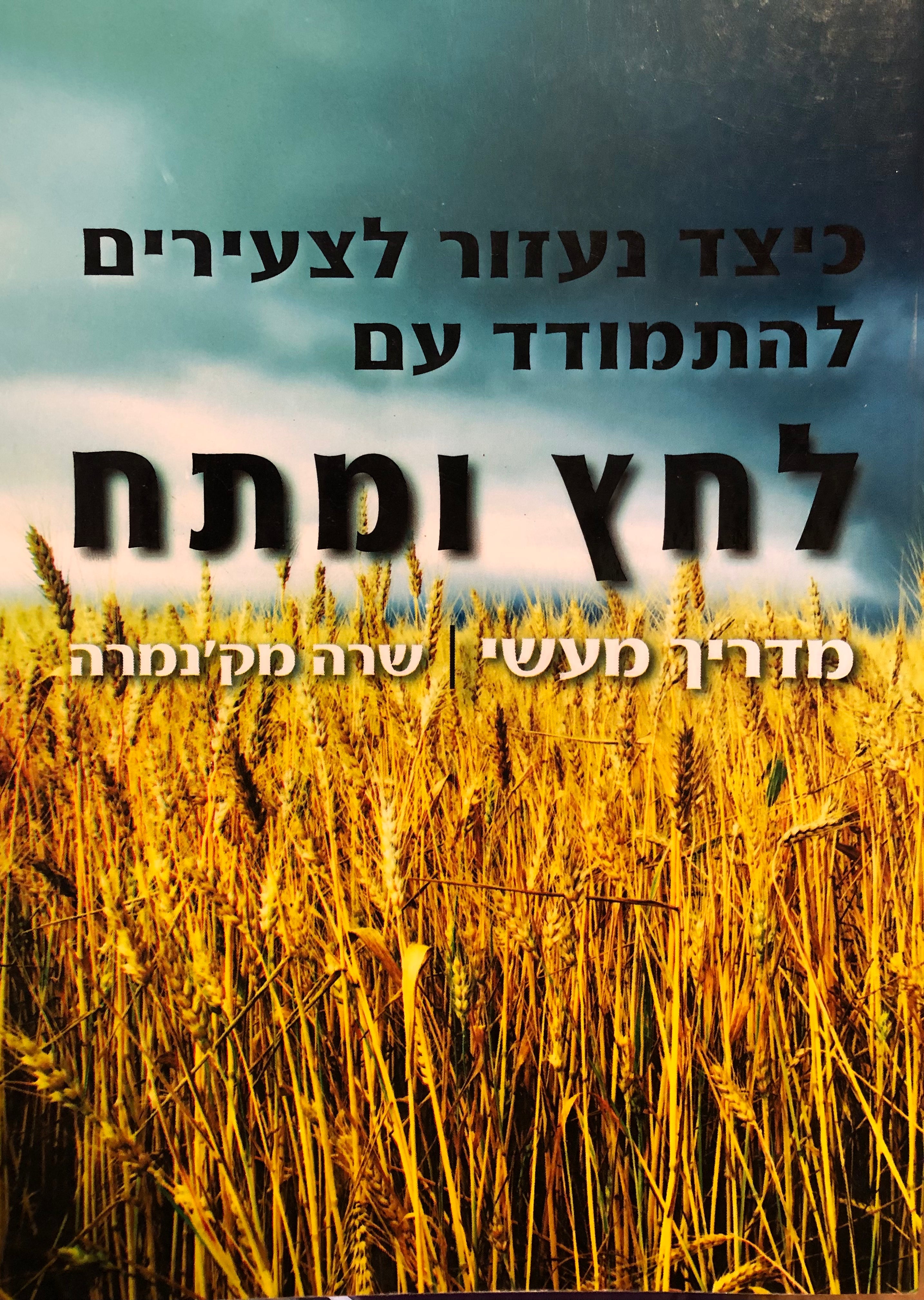 כיצד נעזור לצעירים להתמודד עם לחץ ומתח / מדריך מעשי