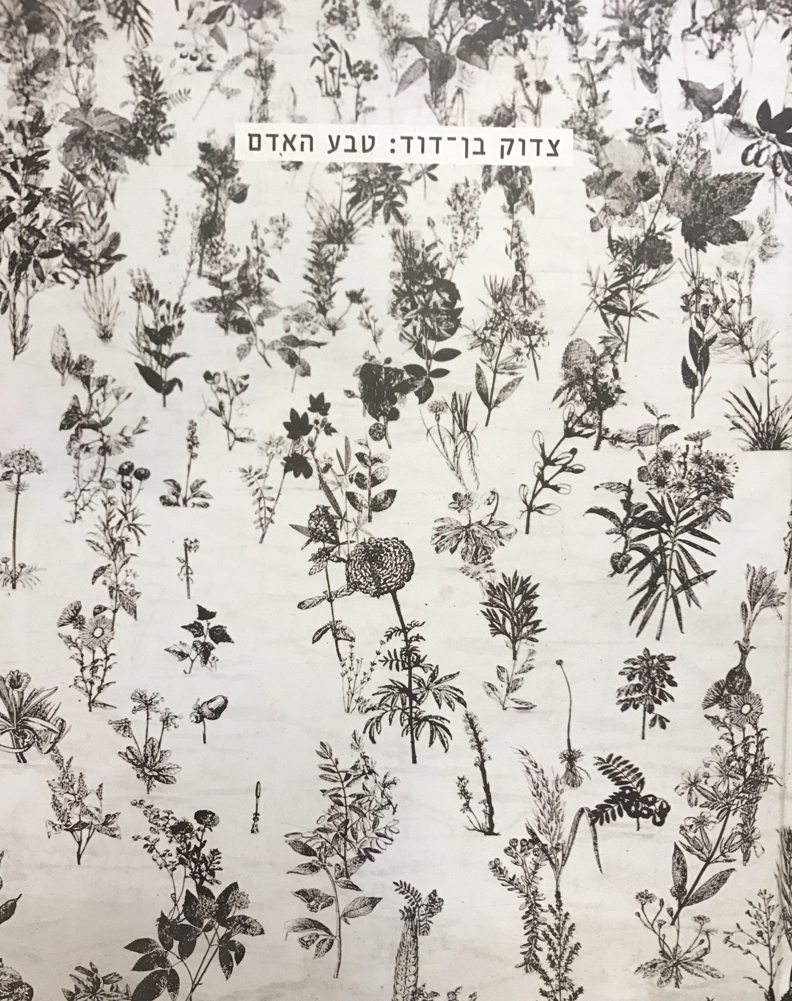 צדוק בן דוד: טבע האדם