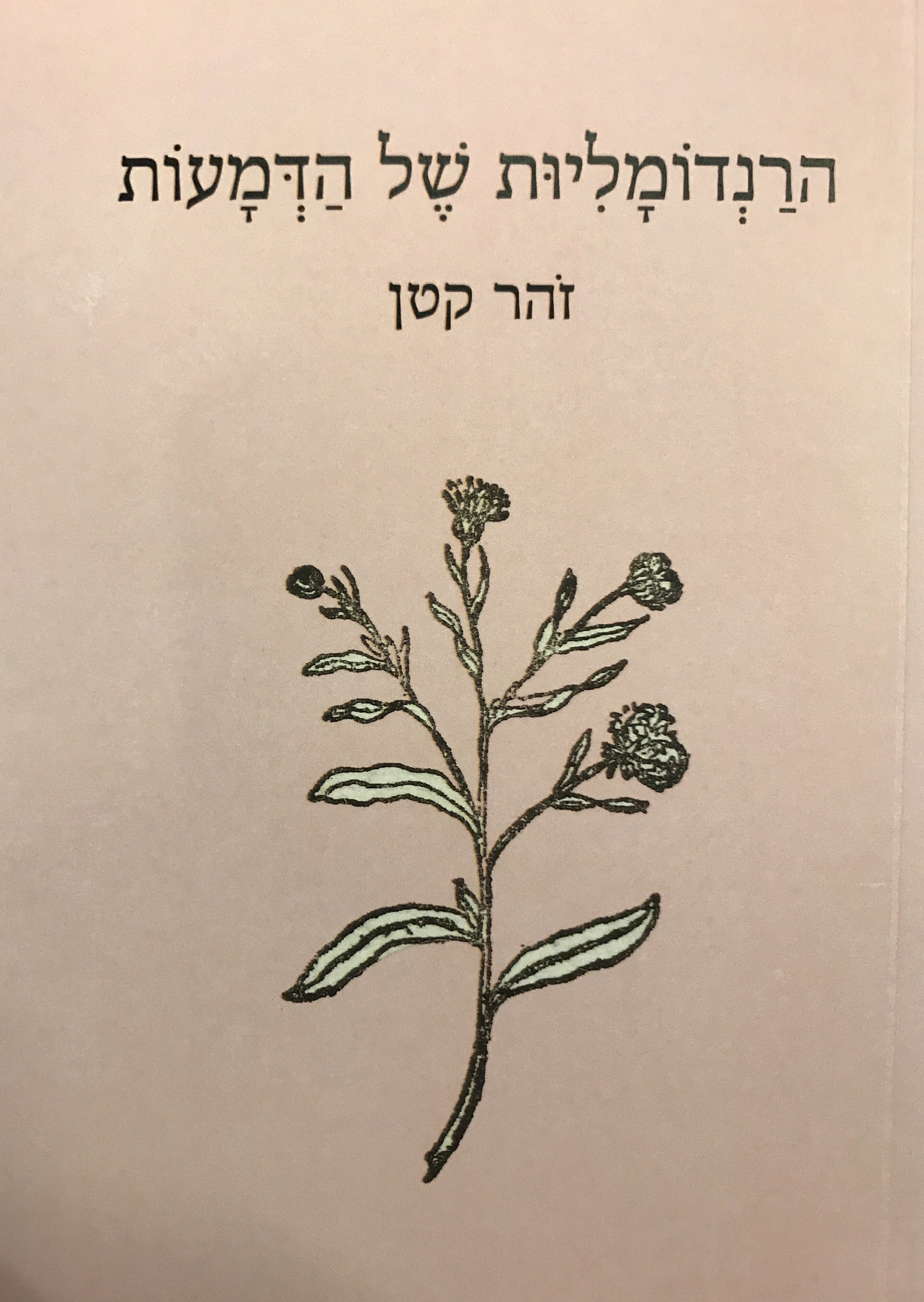 הרנדומליות של הדמעות