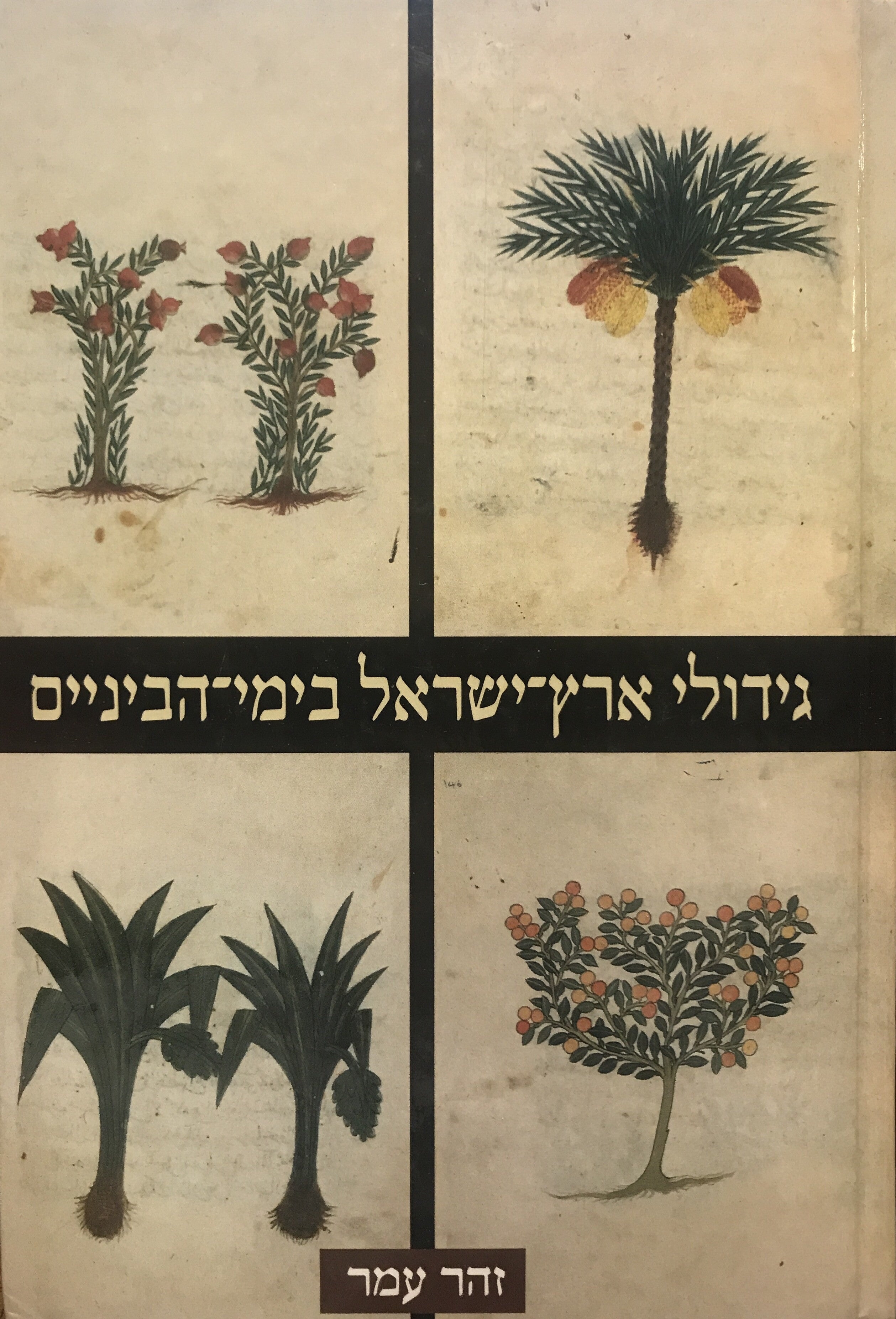 גידולי ארץ ישראל בימי-הביניים/ תיאור ותמורות