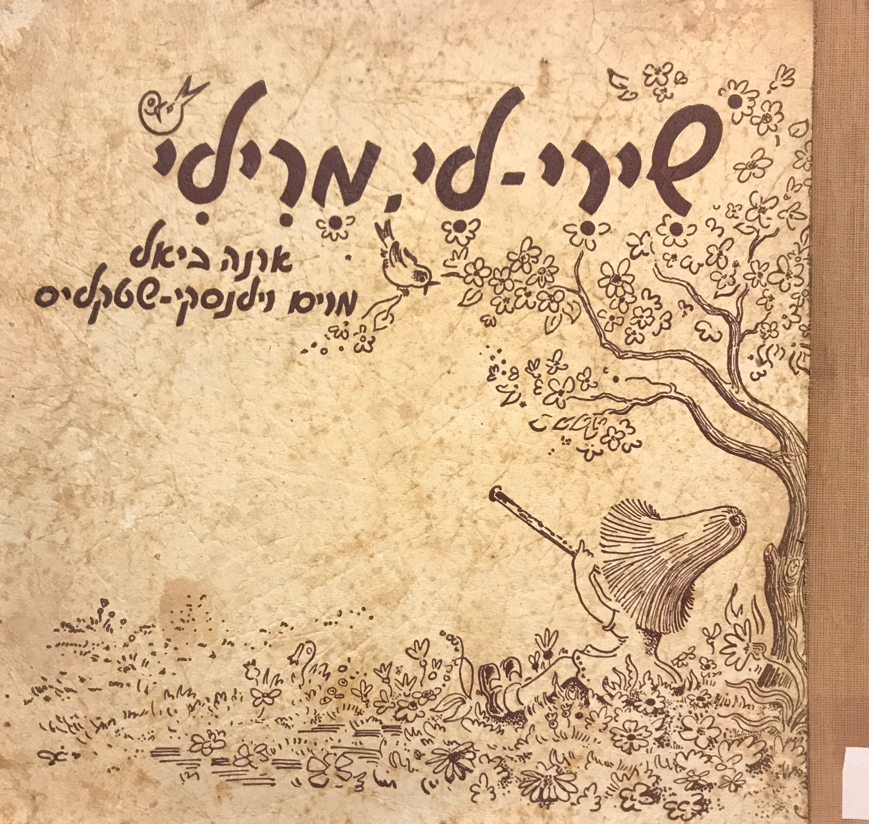 שירי-לי מרילי