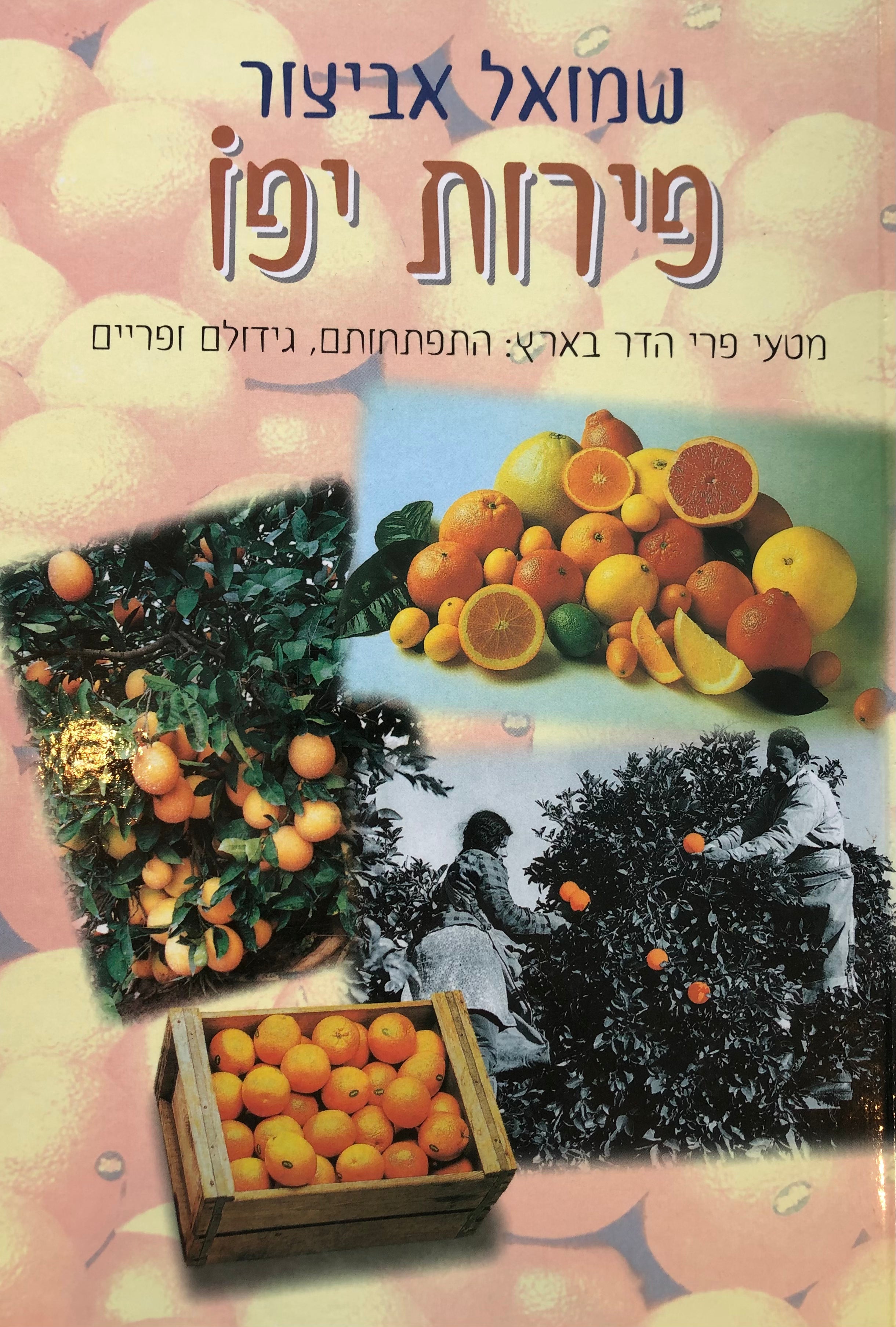 פירות יפו/ מטעי פרי הדר בארץ/ התפתחותם גידולם ופריים