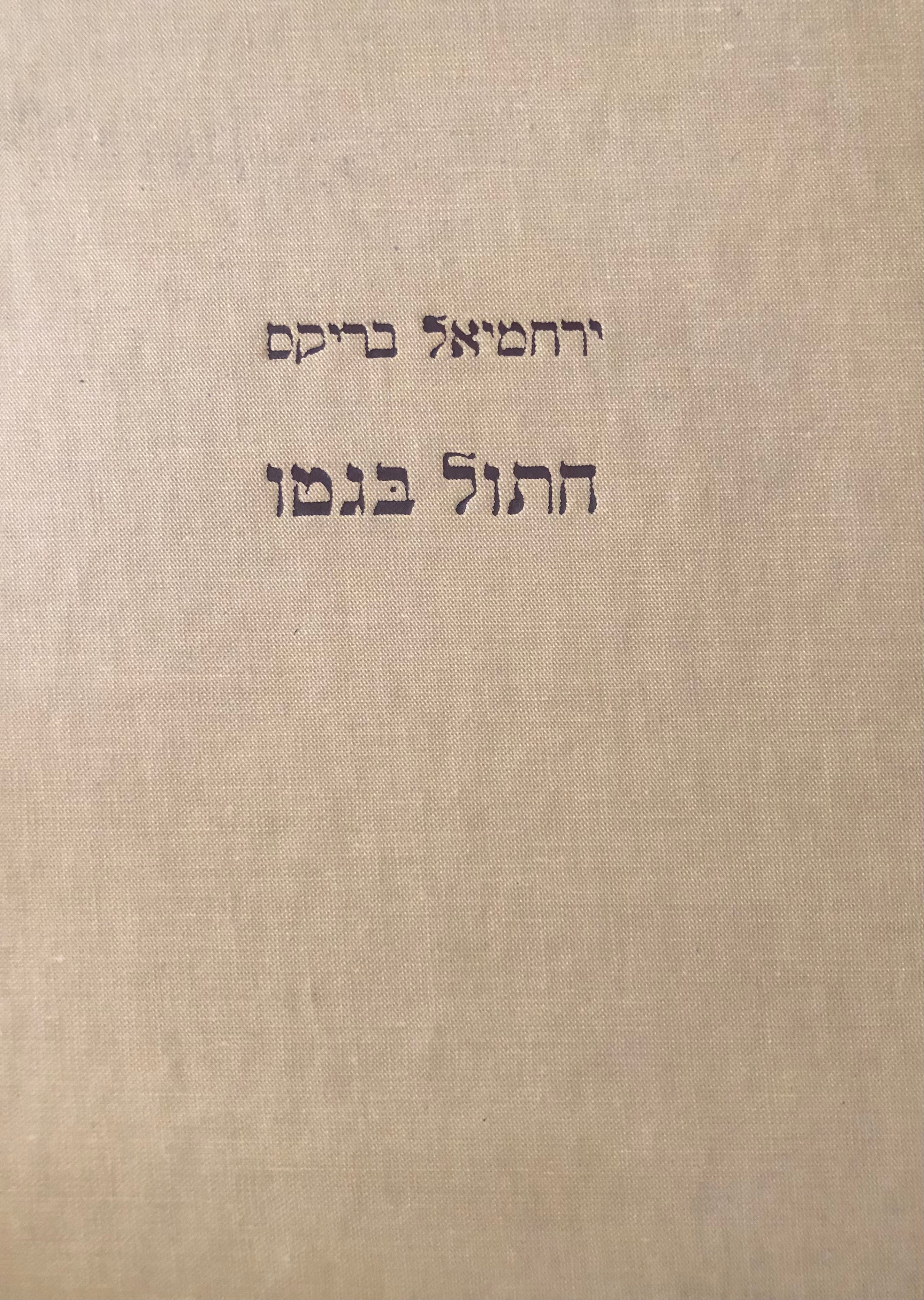 חתול בגטו