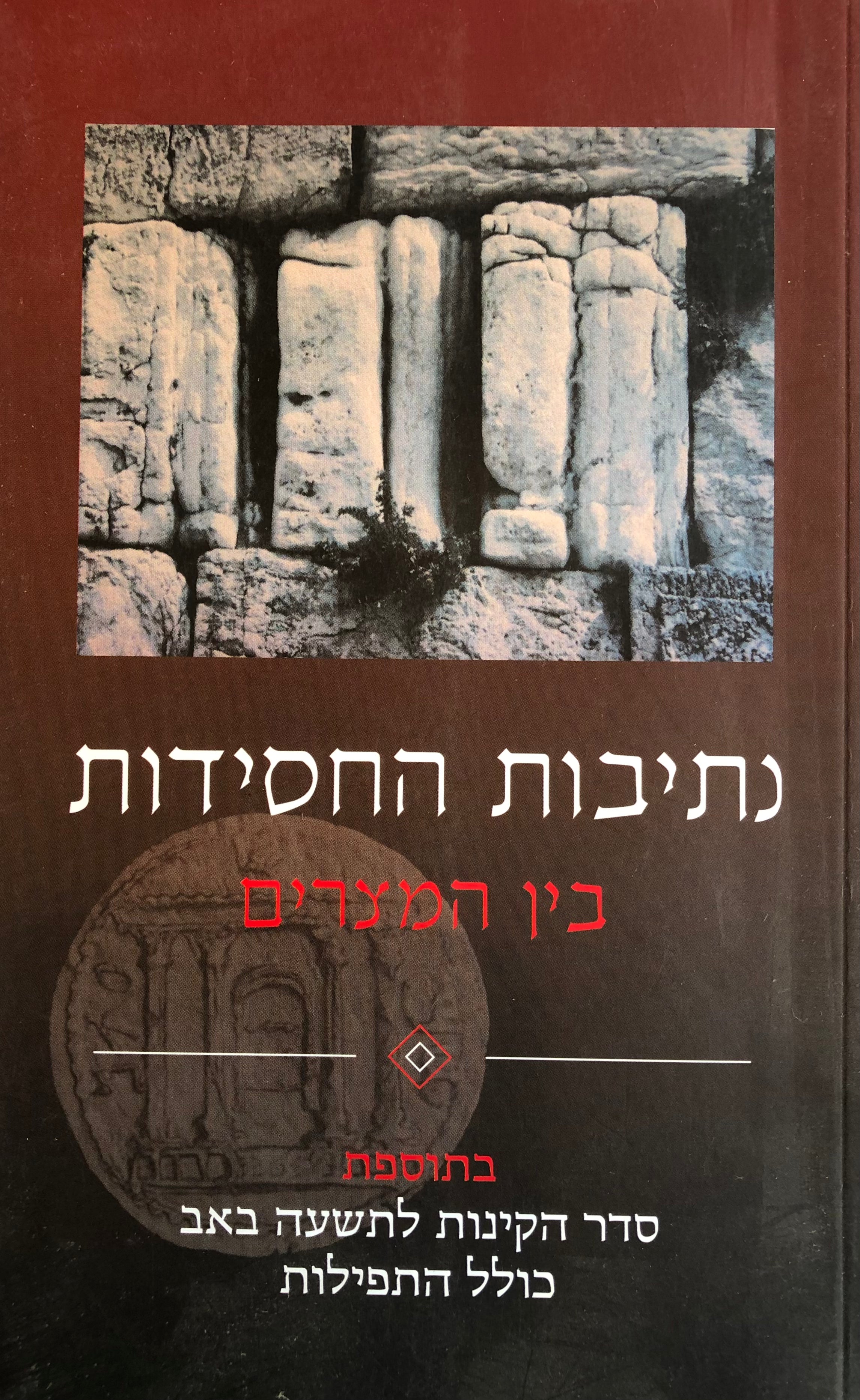 נתיבות החסידות/ בין המצרים