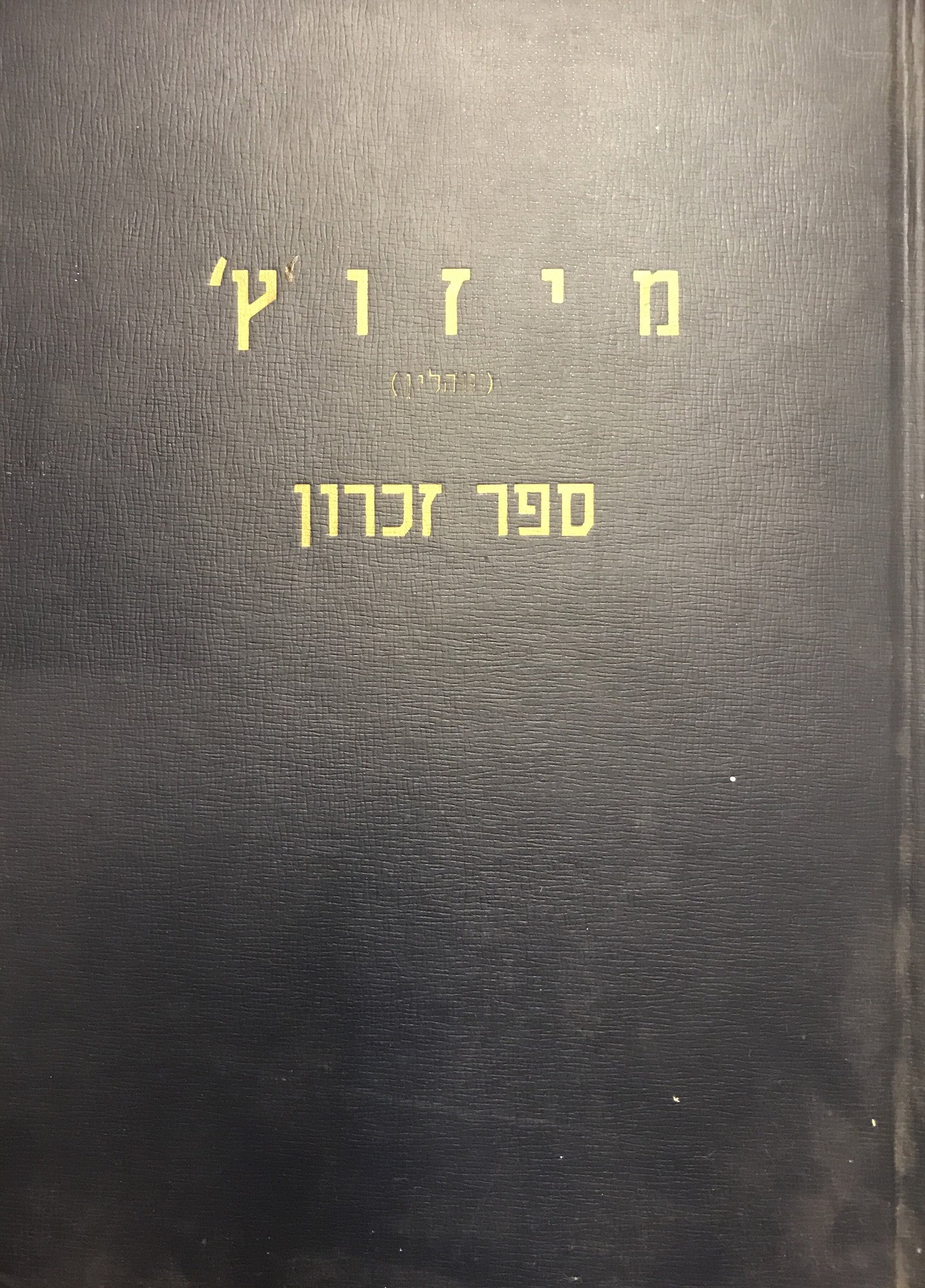 מיזוץ' (ווהלין) /  ספר זכרון