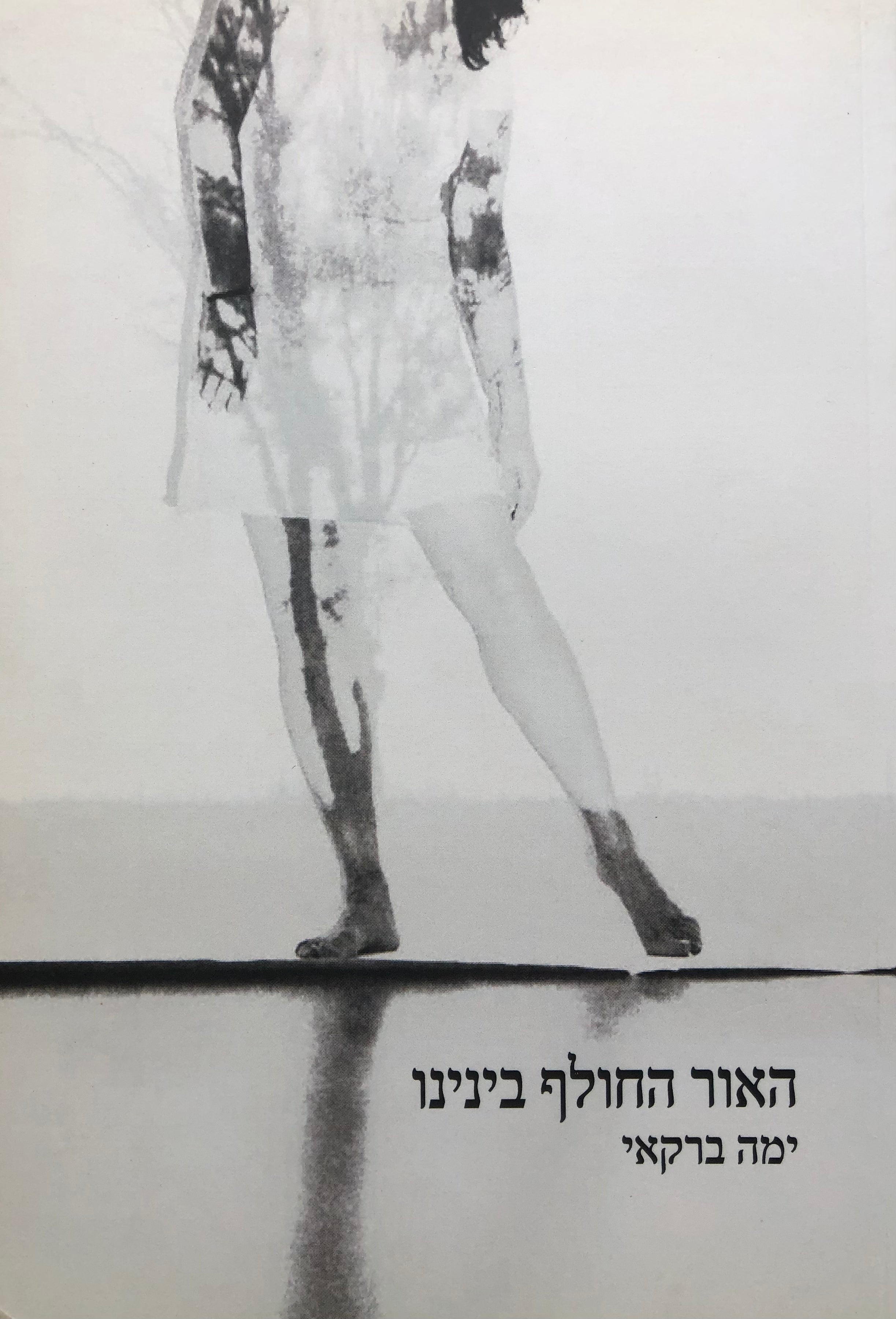 האור החולף בינינו