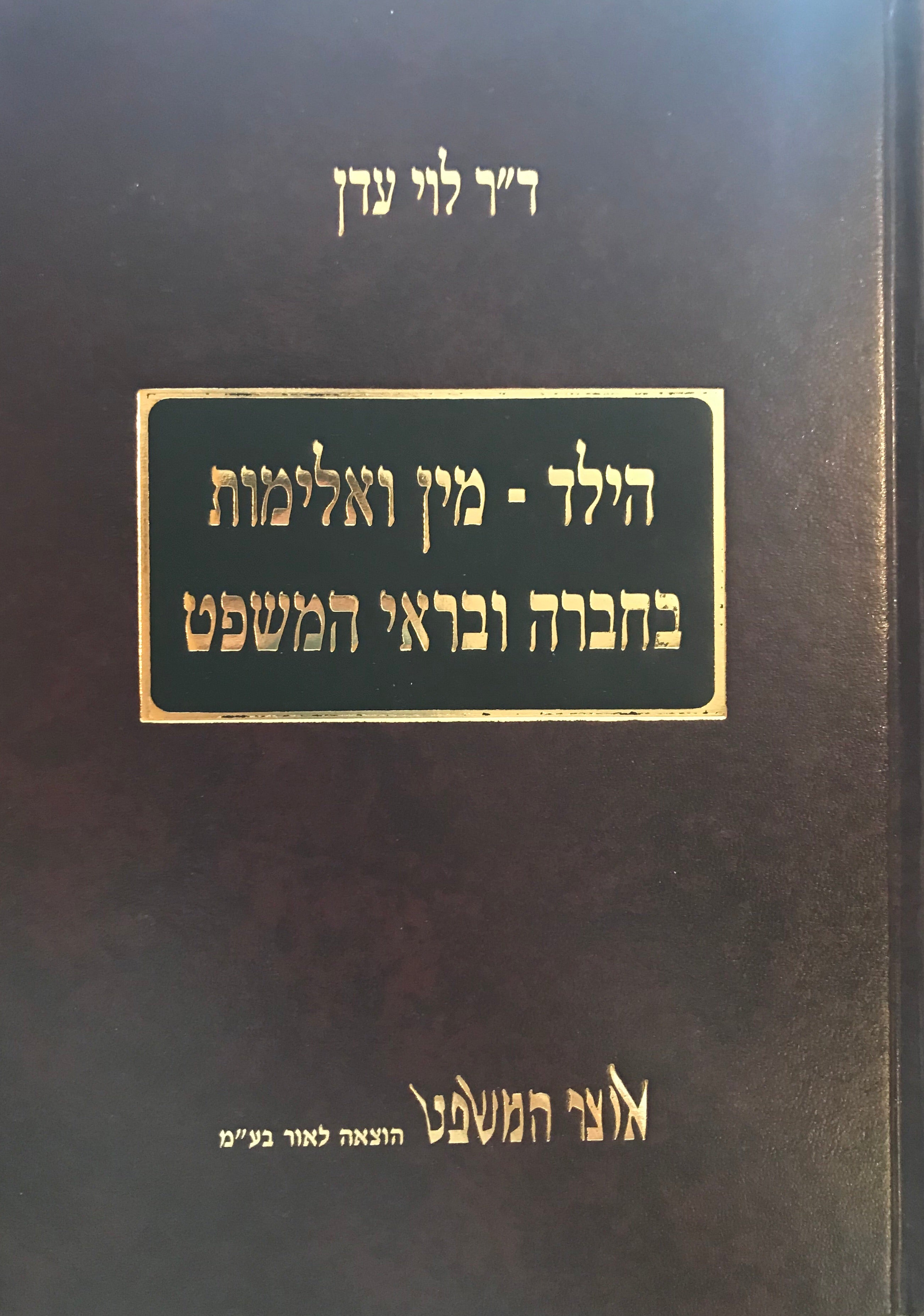 הילד- מין ואלימות בחברה ובראי המשפט