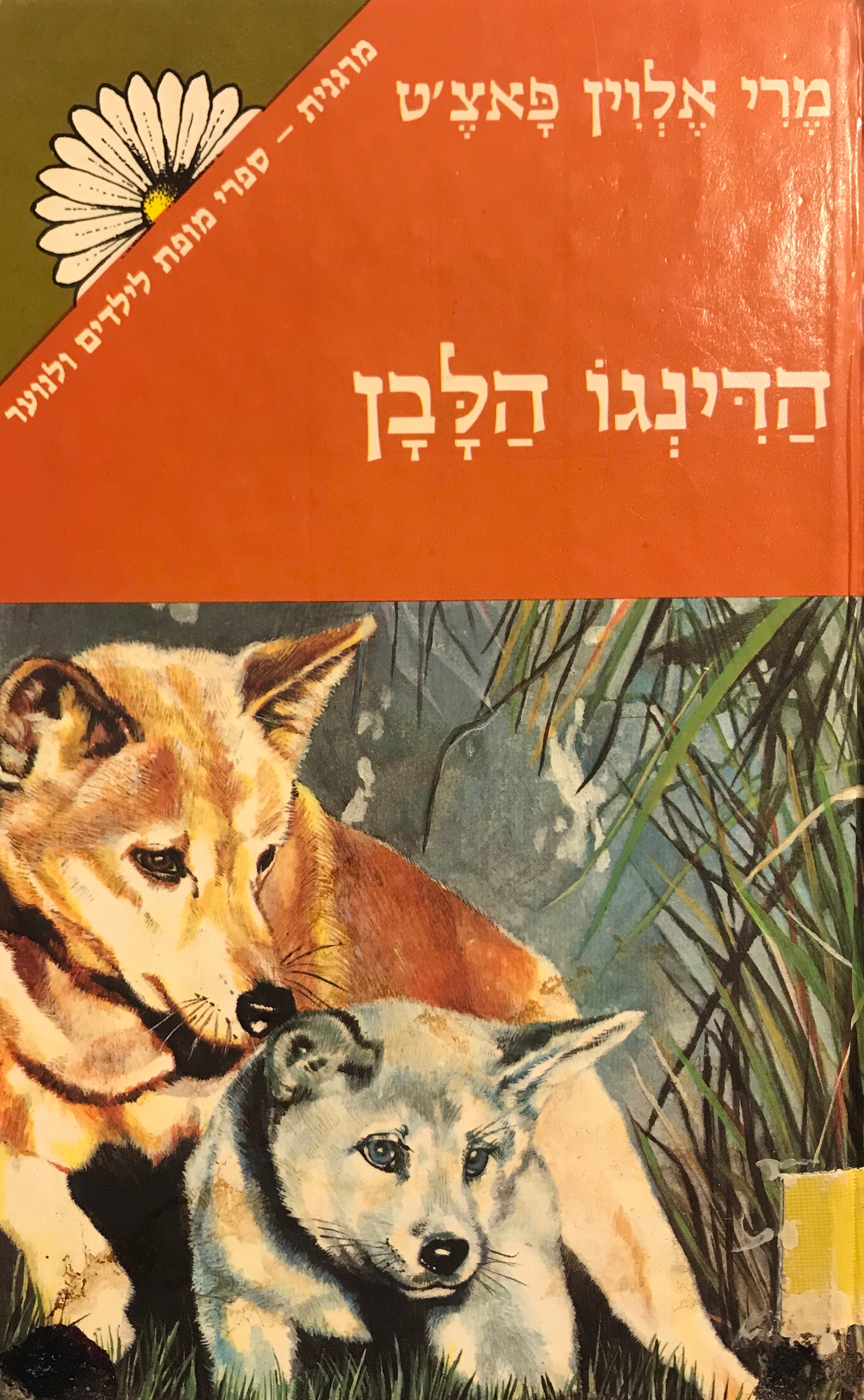הדינגו הלבן