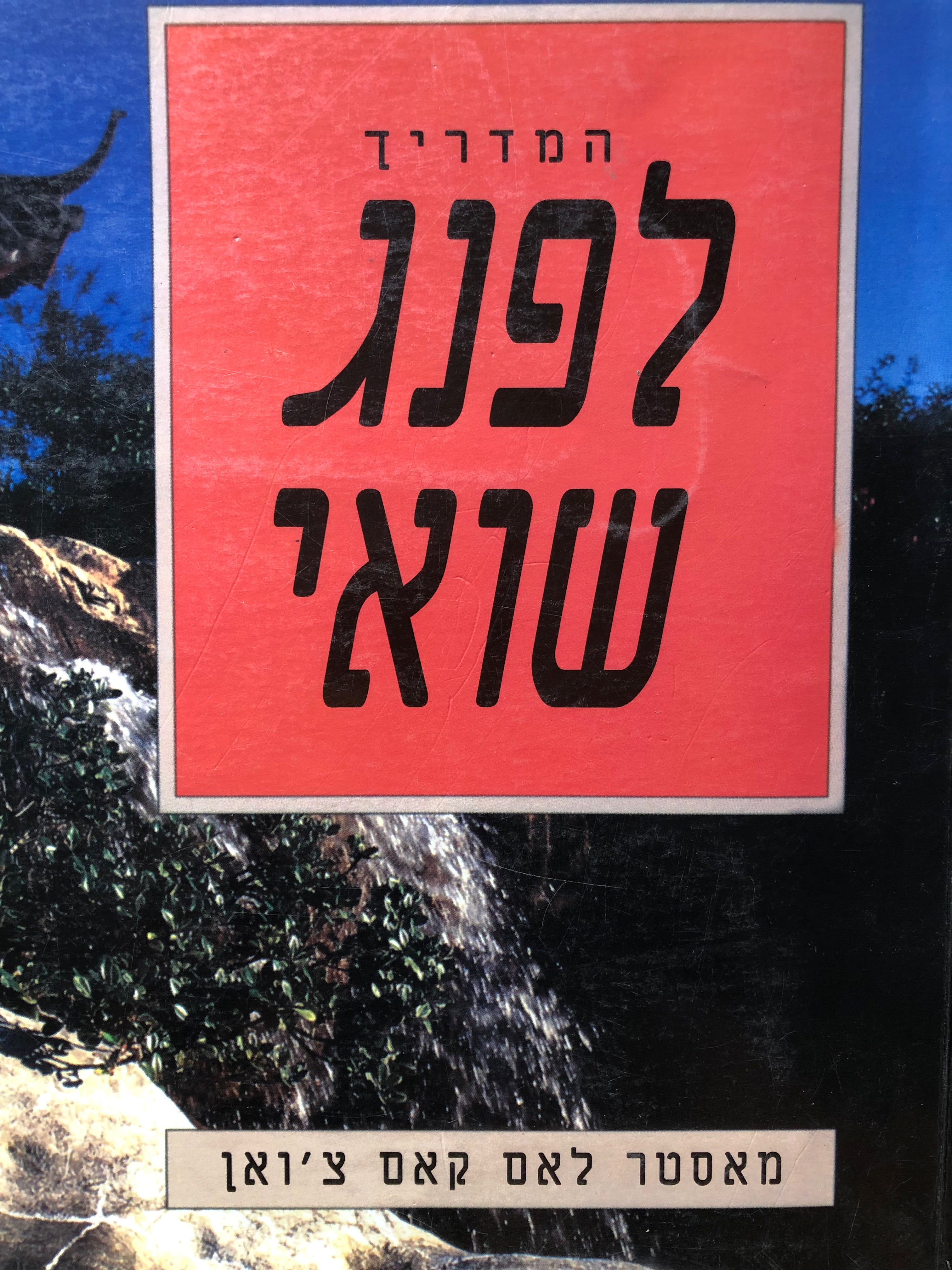 המדריך לפנג שואי/ כיצד ליצור סביבת חיים וסביבת עבודה בריאות יותר